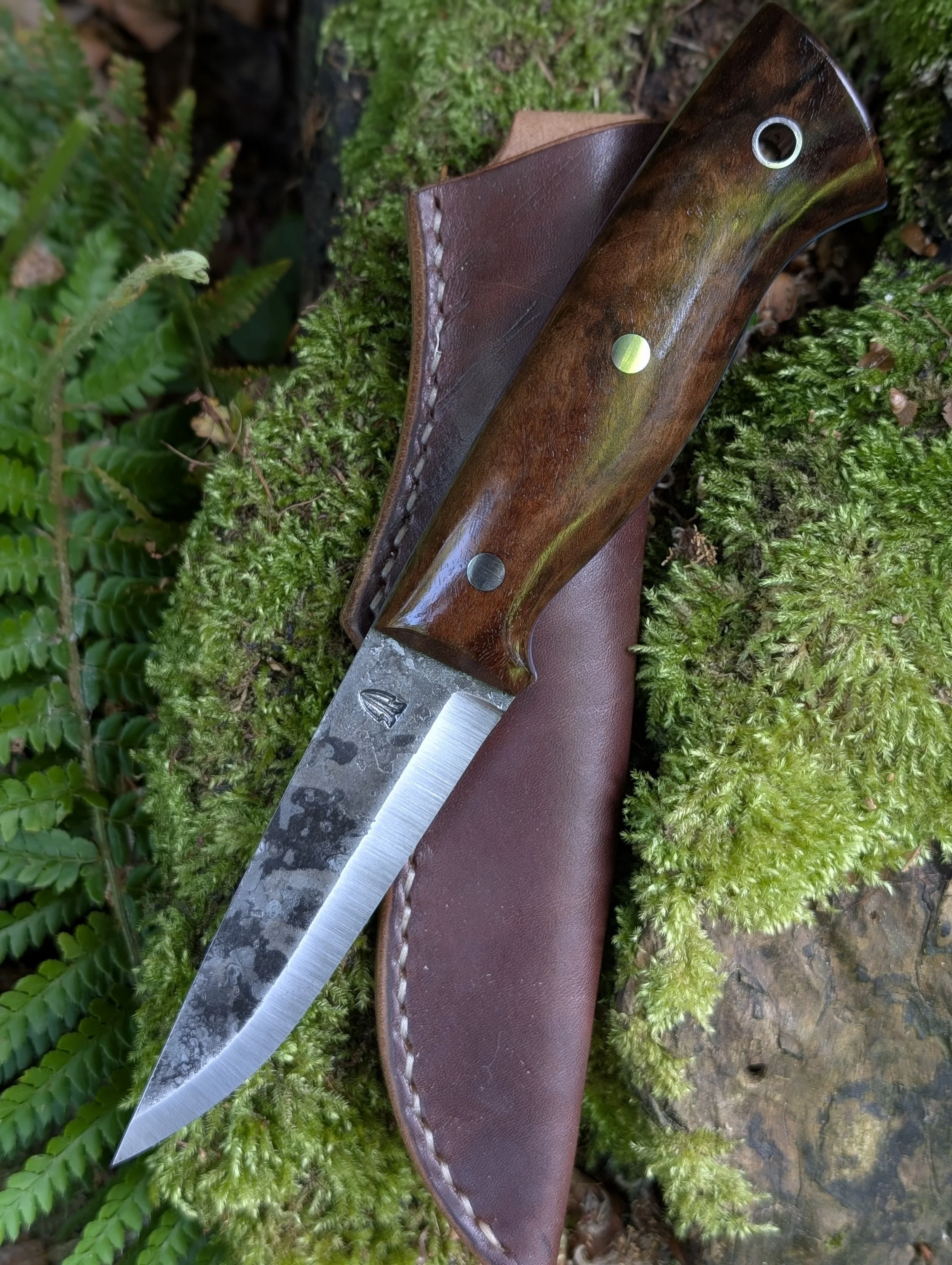 005 Walnut(3).jpg