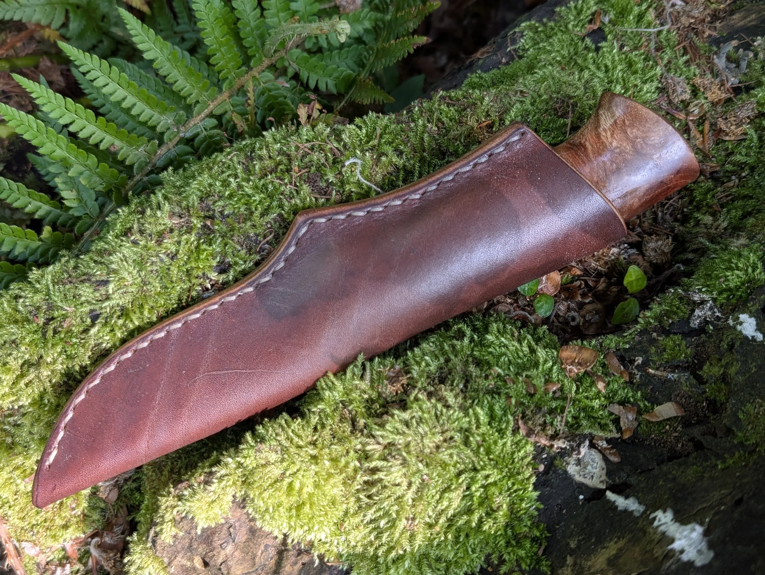 Antler and Elm 3.jpg