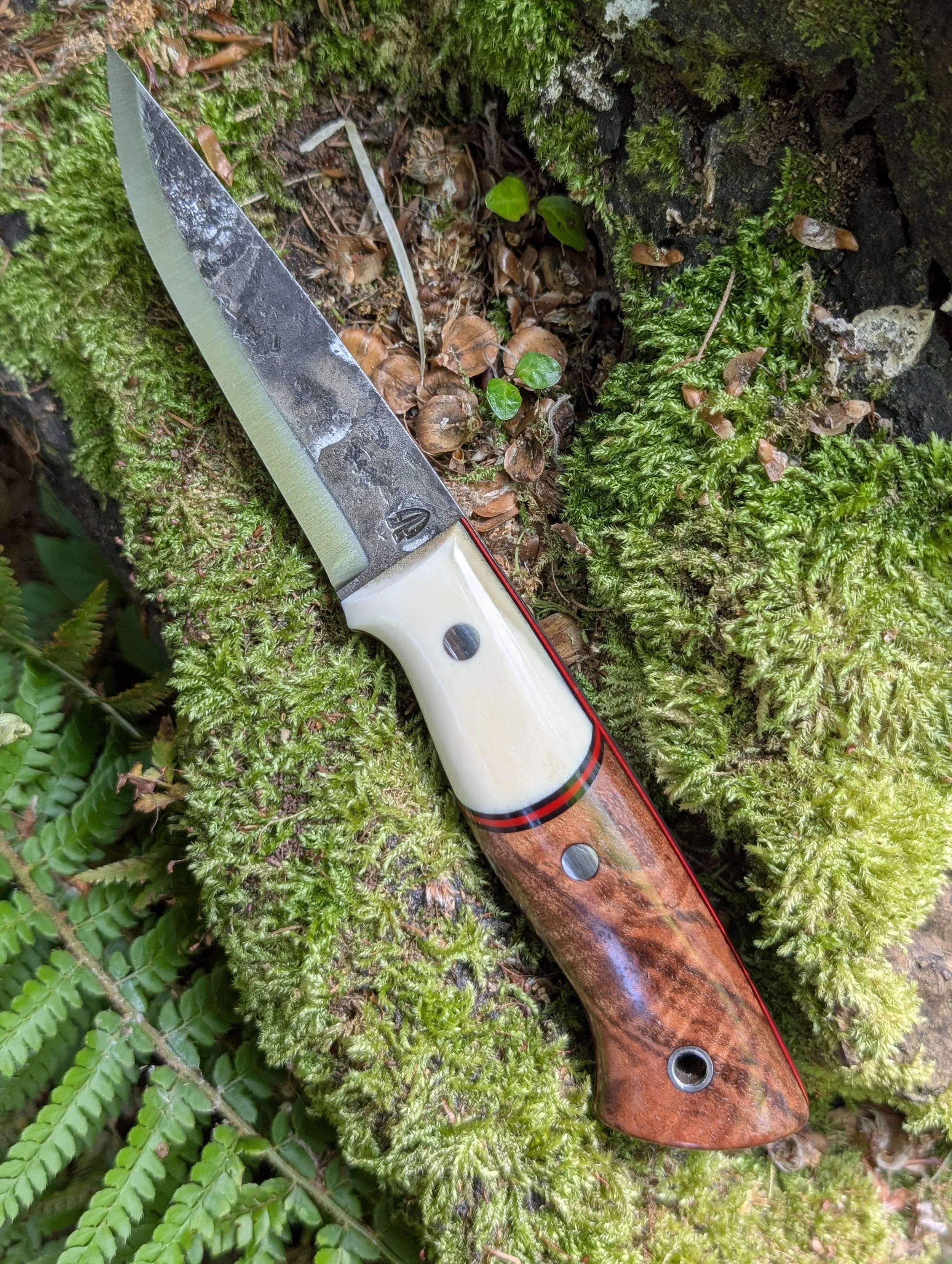 002 Antler and Walnut(4).jpg