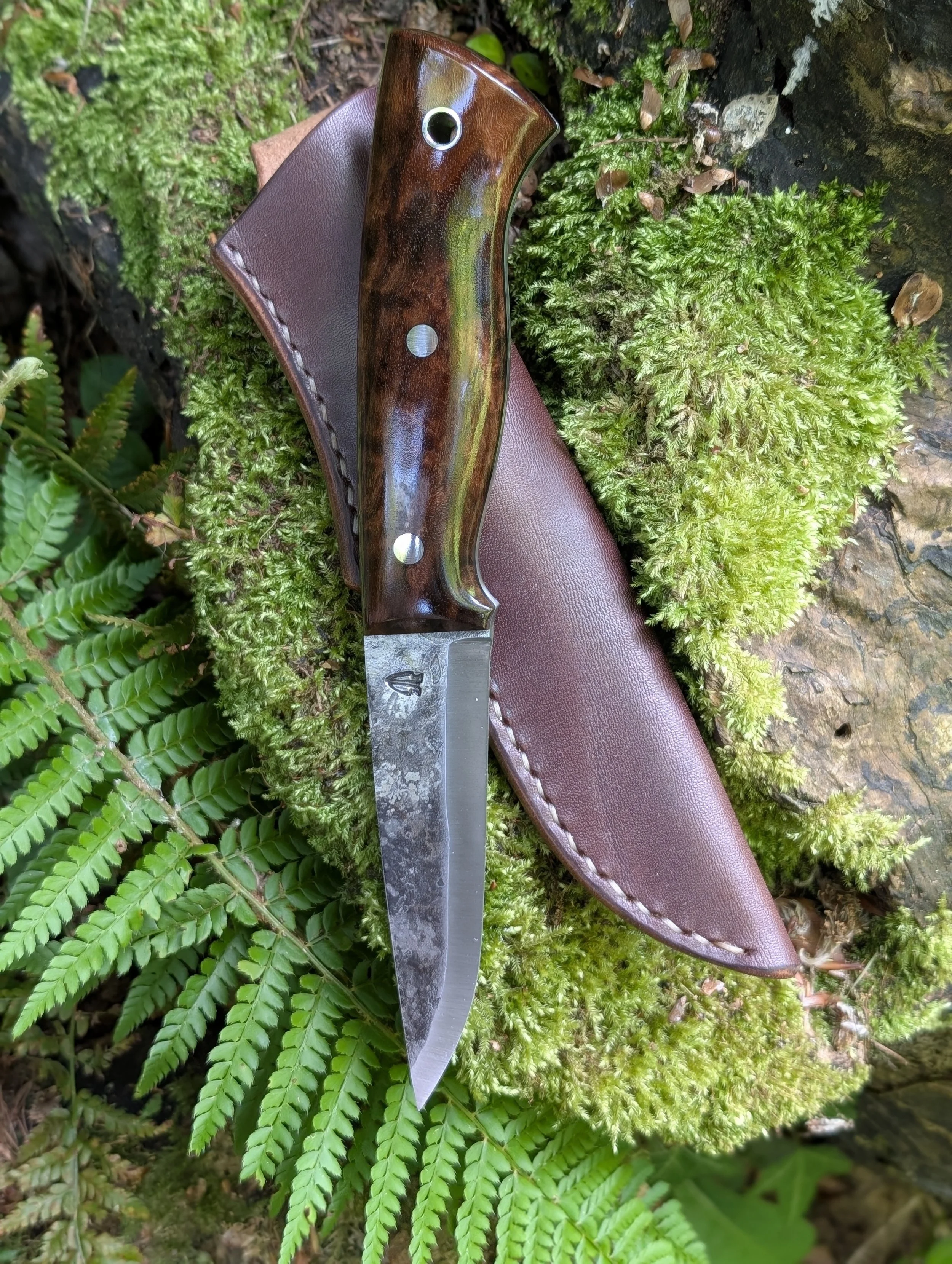009 Walnut(2).jpg