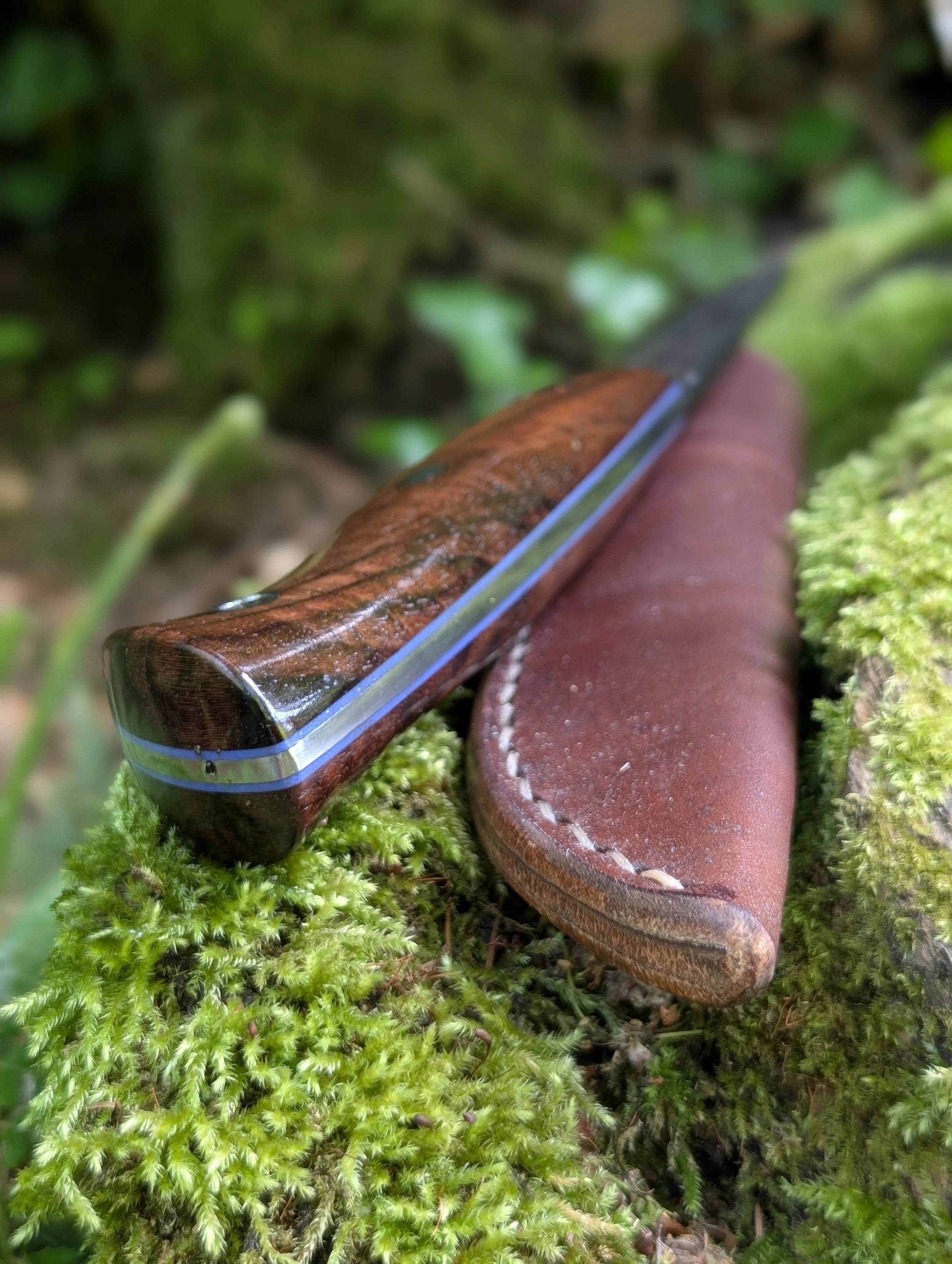 007 Walnut(3).jpg