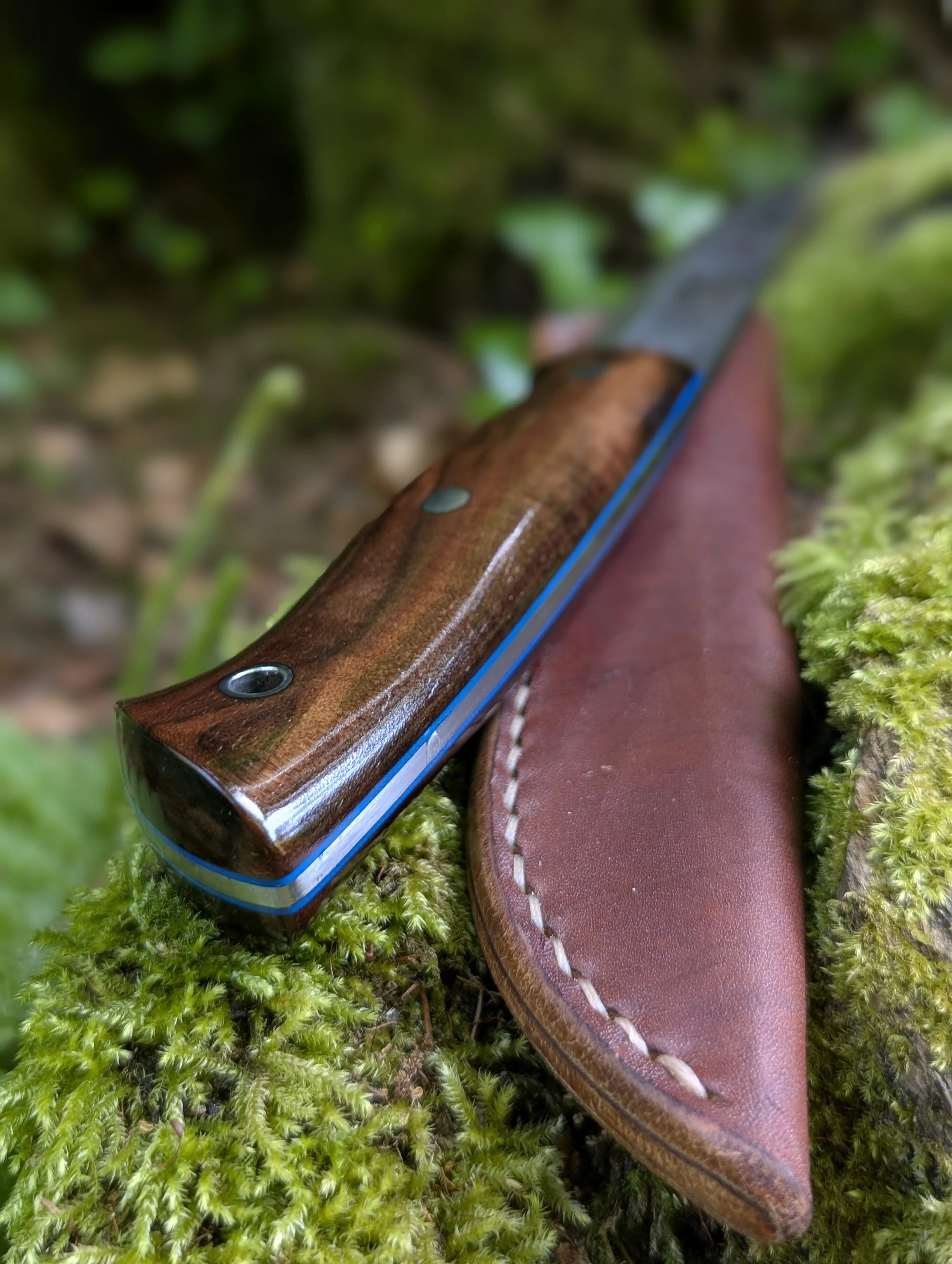 006 Walnut(1).jpg