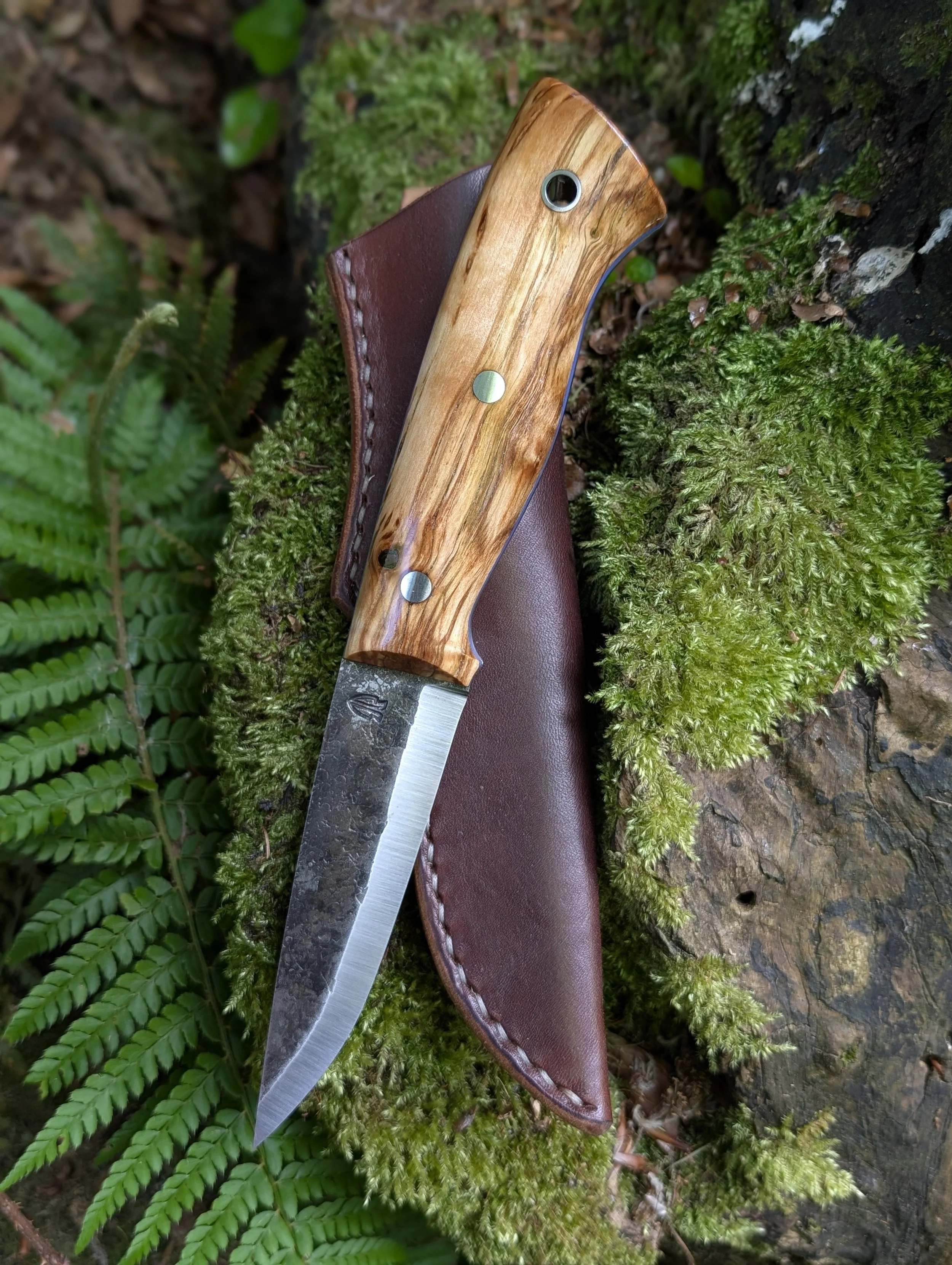 008 Masur Birch(2).jpg