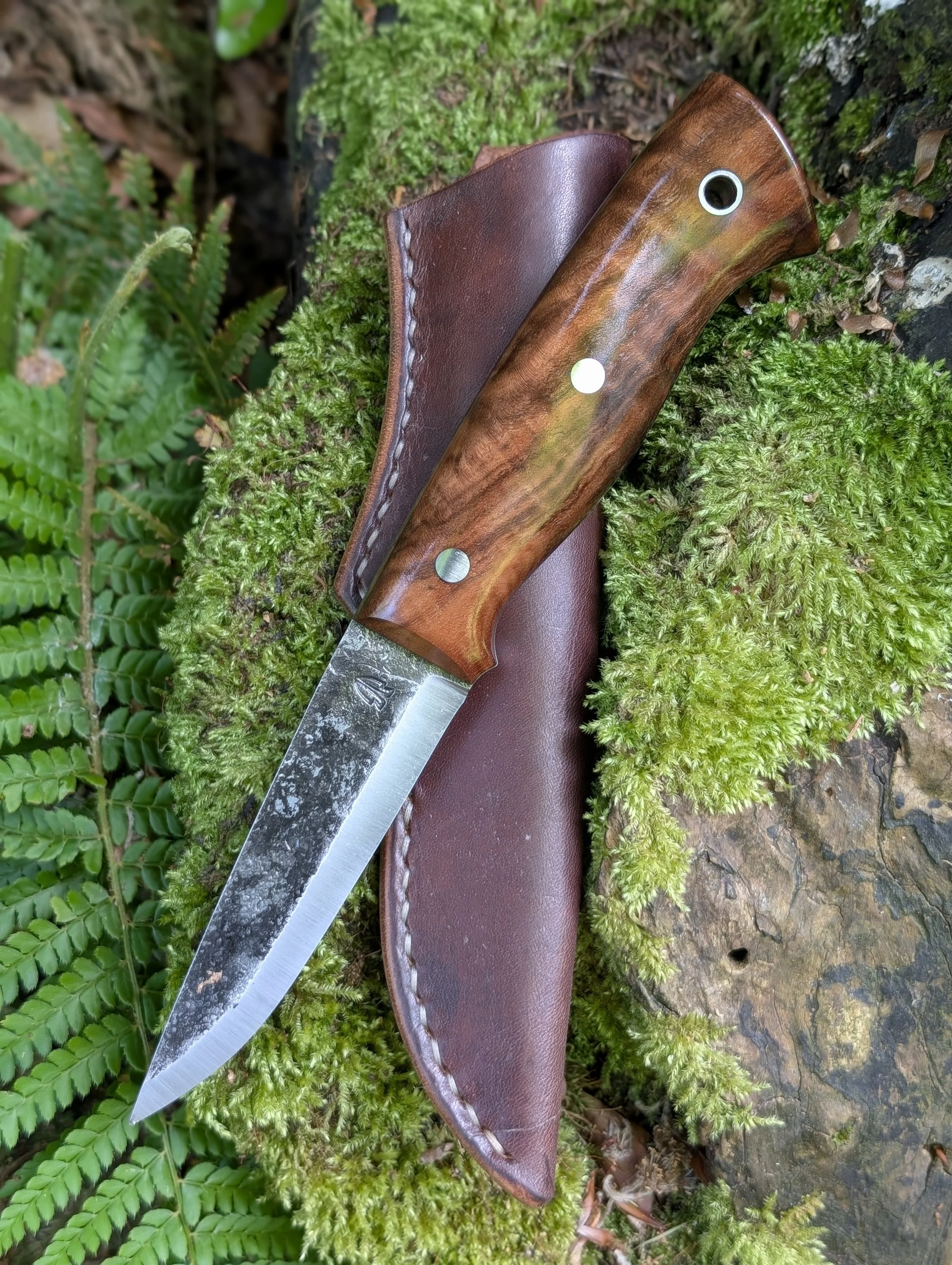 010 Walnut(1).jpg