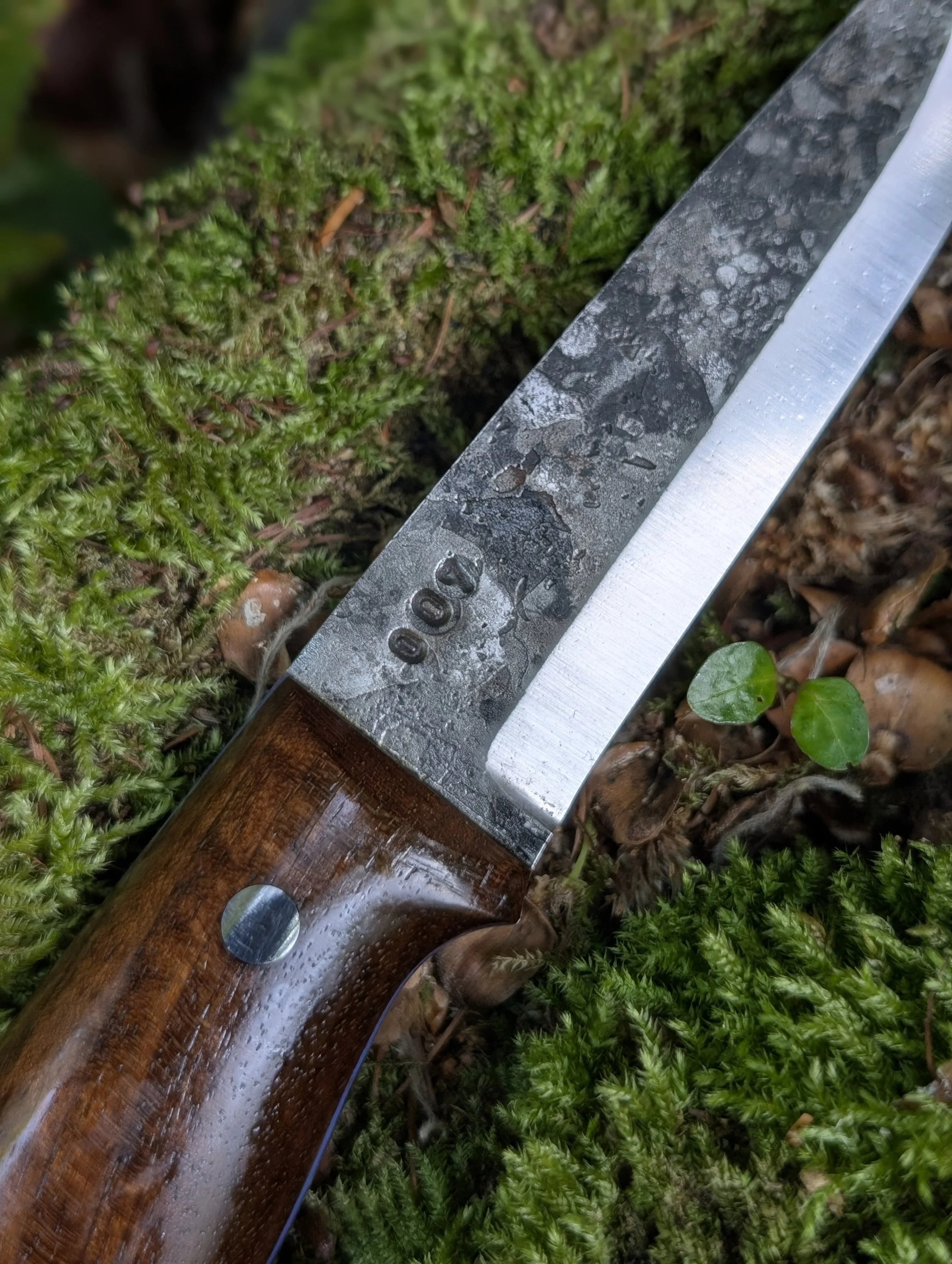 007 Walnut(4).jpg