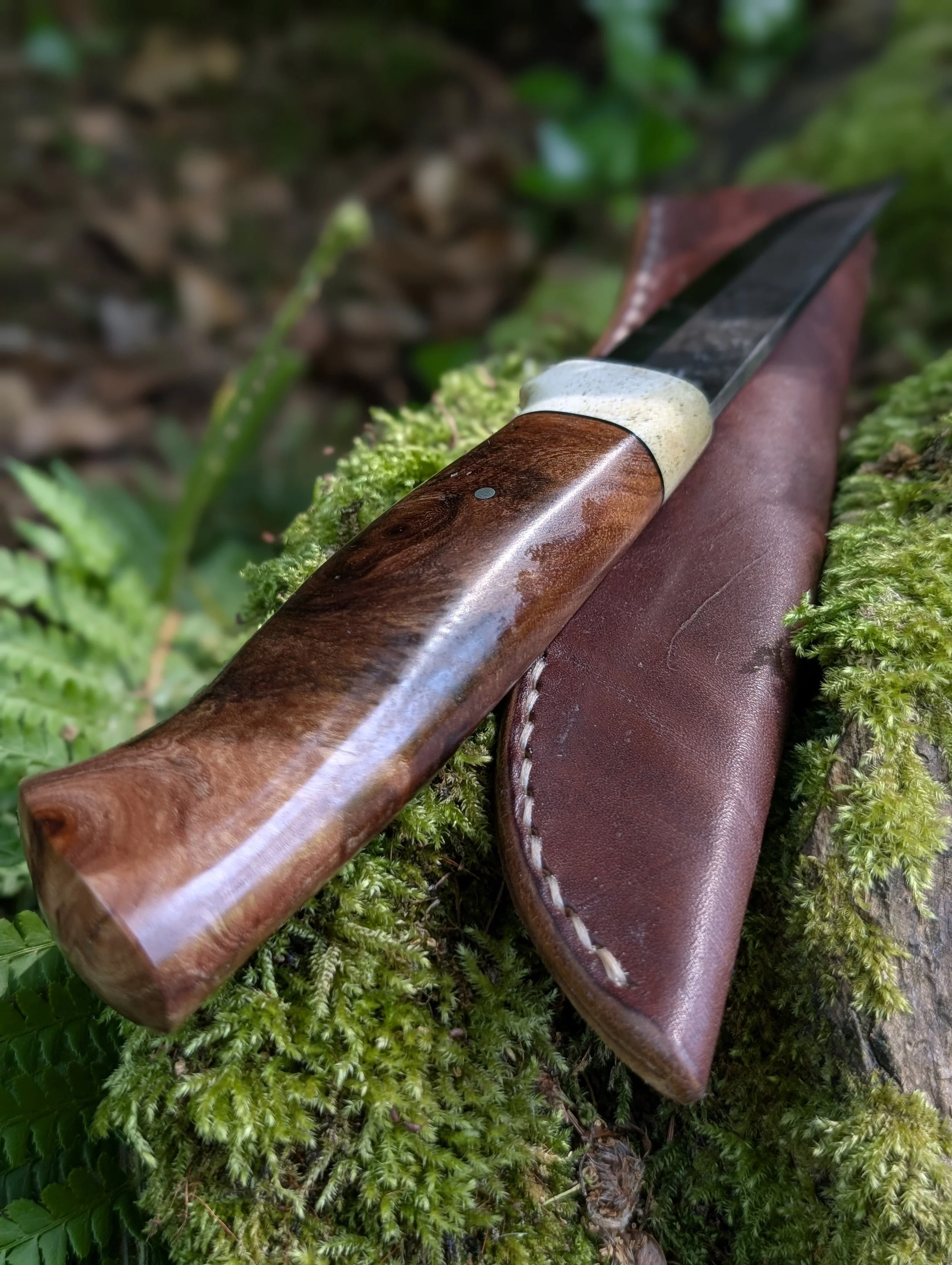 Antler and Elm 3(2).jpg
