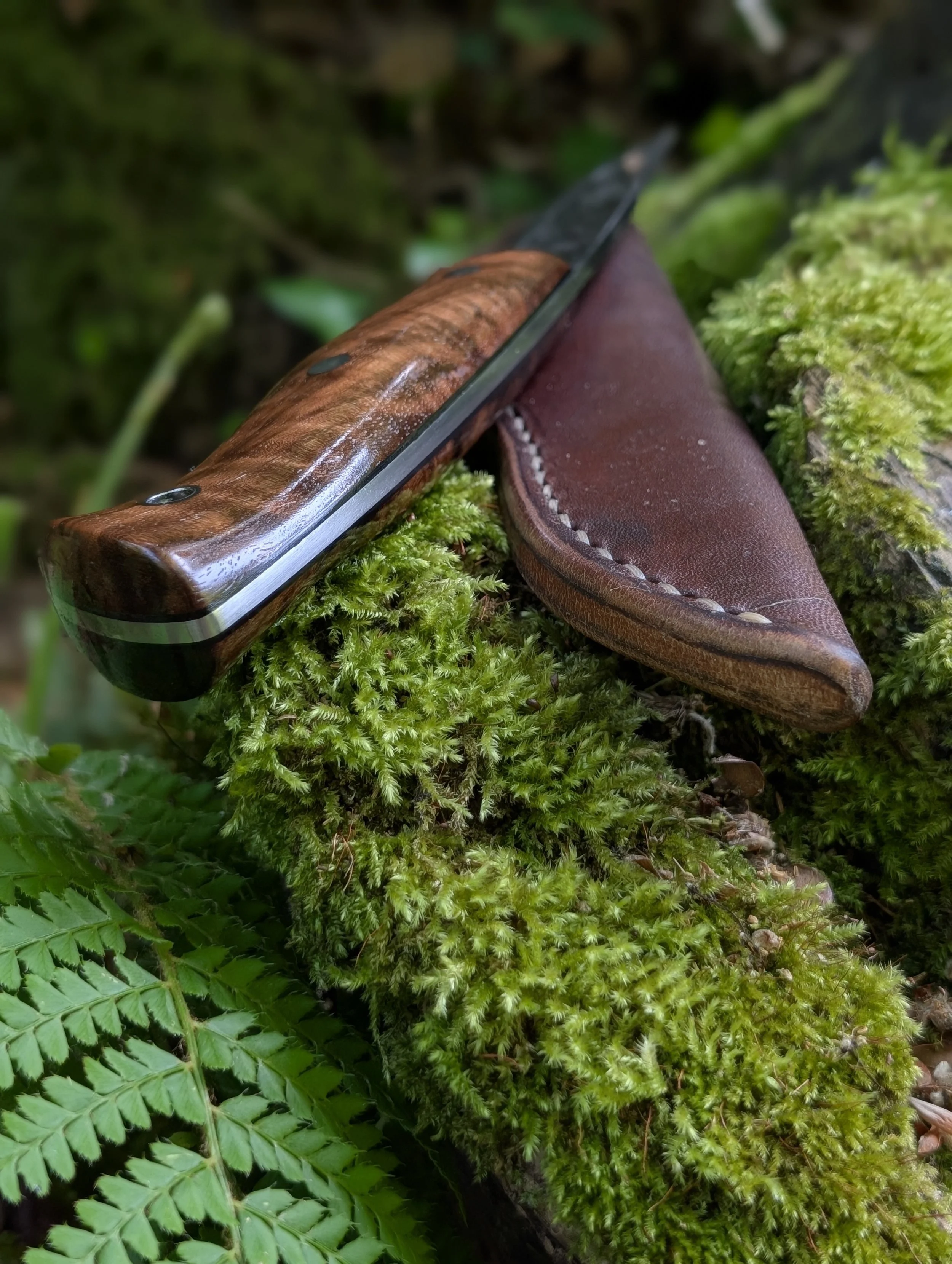 010 Walnut.jpg