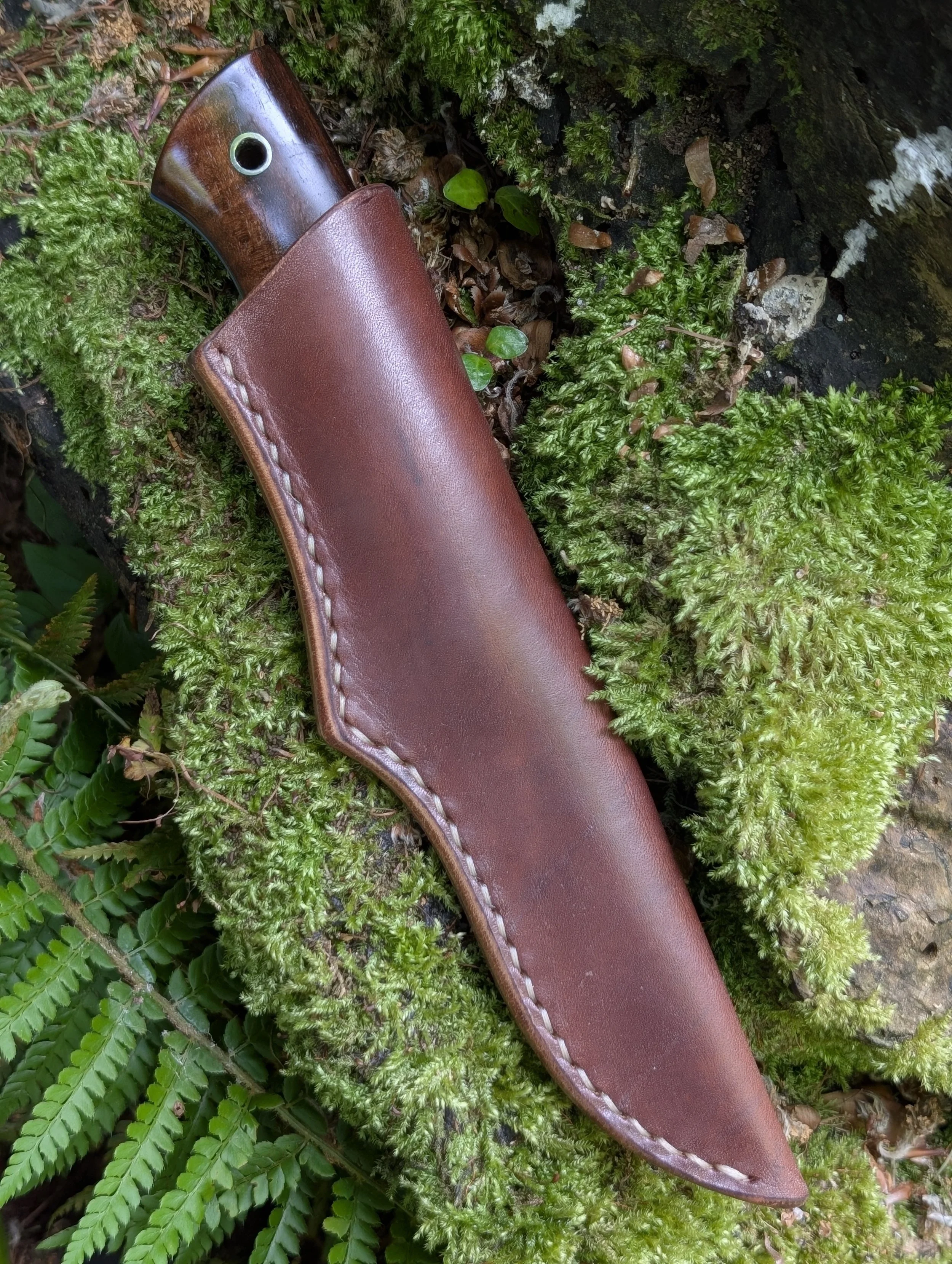 006 Walnut.jpg