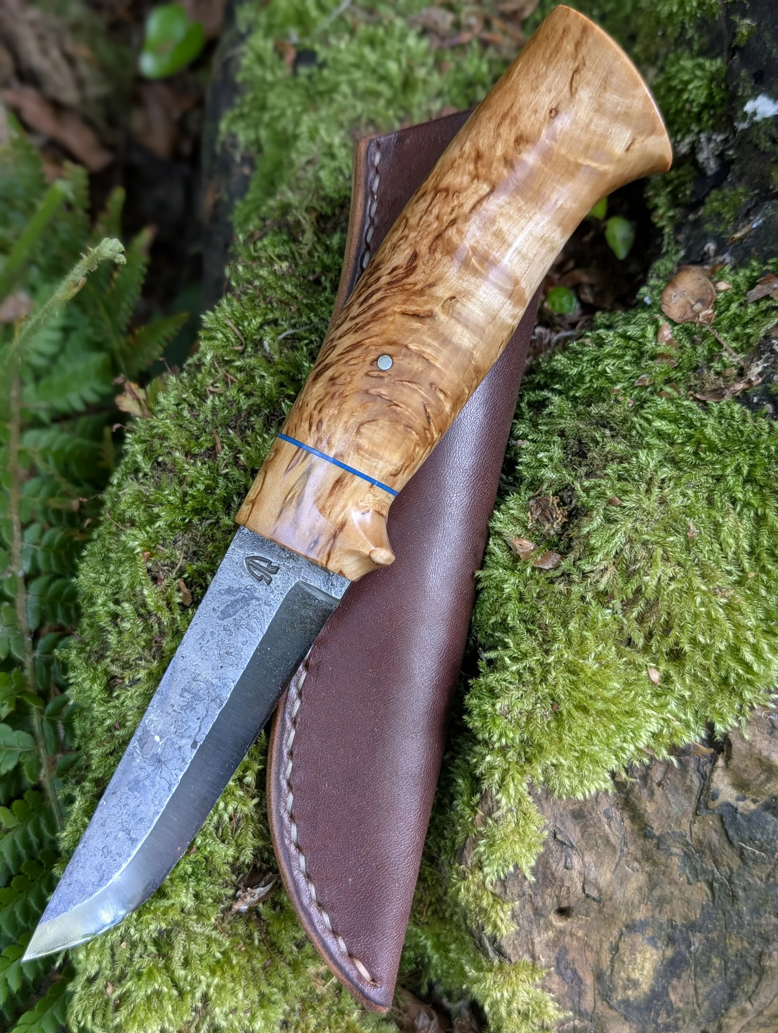 Masur Birch(3).jpg