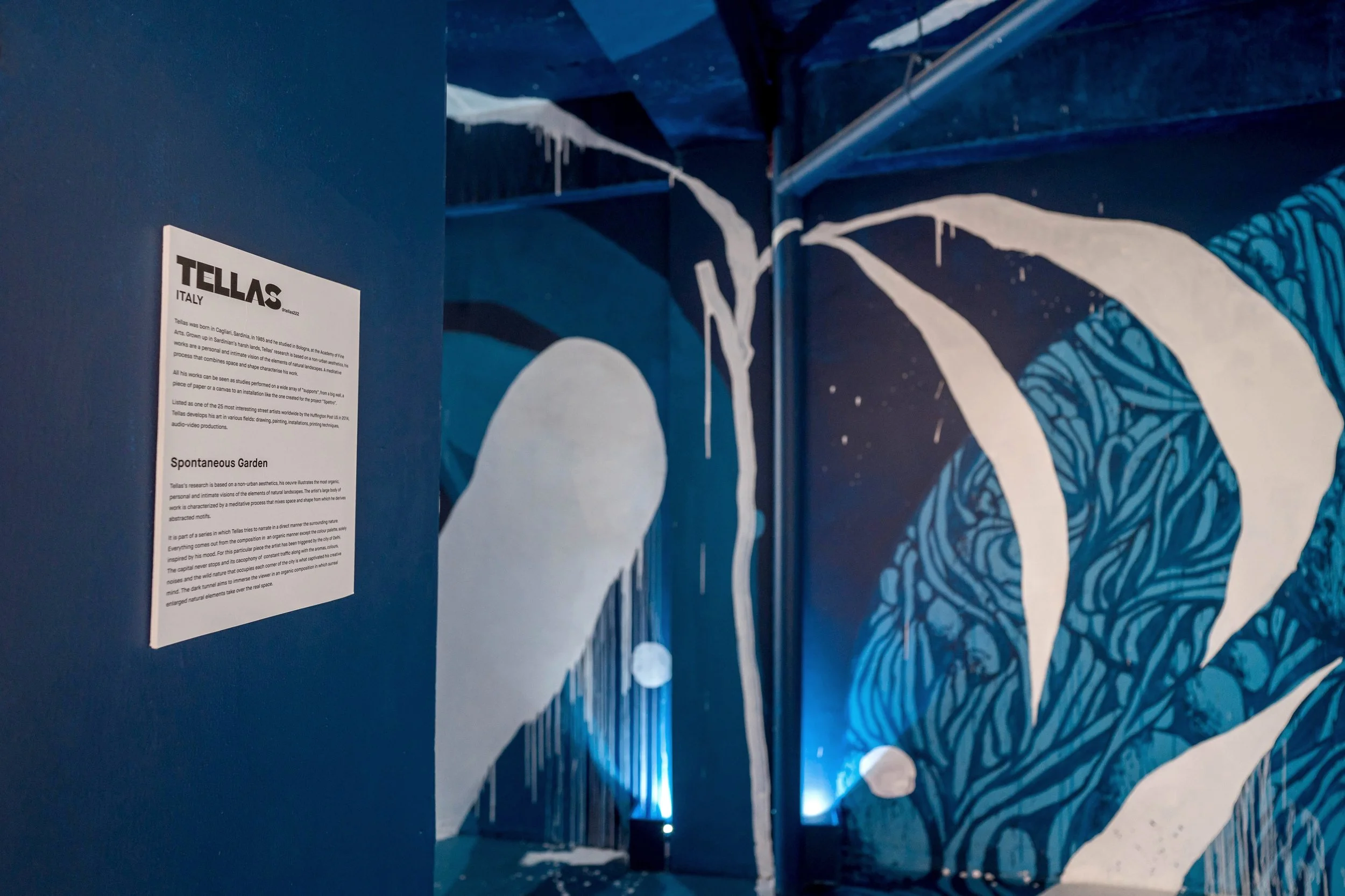 Tellas_Reveals_Friction at Kona-2019_PranavGohil-11.jpeg