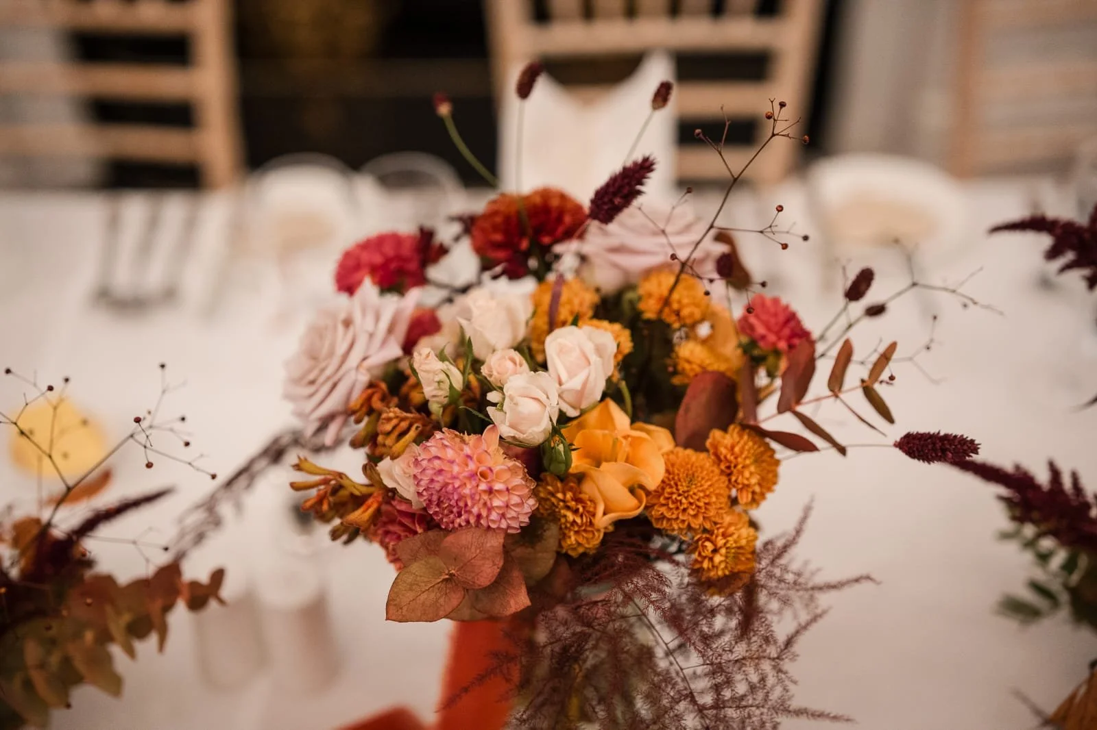 WhatsApp Image 2026-02-22 at 13.54.23 (2).jpeg