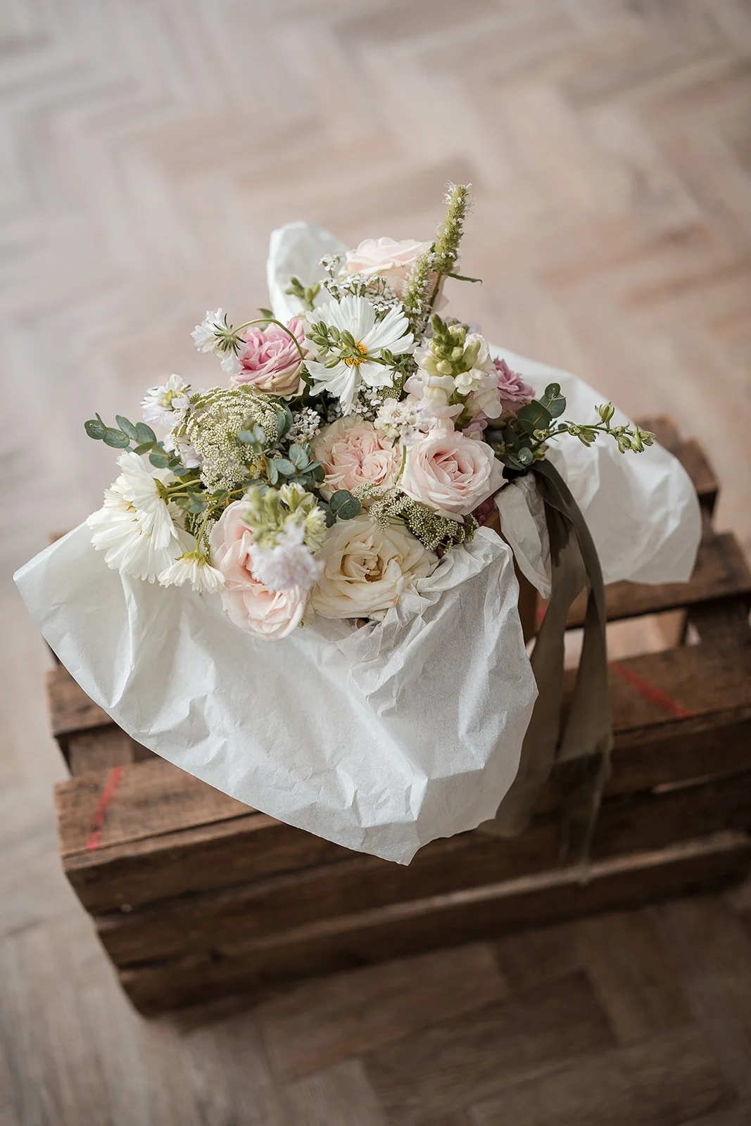 WhatsApp Image 2026-02-22 at 13.52.33.jpeg