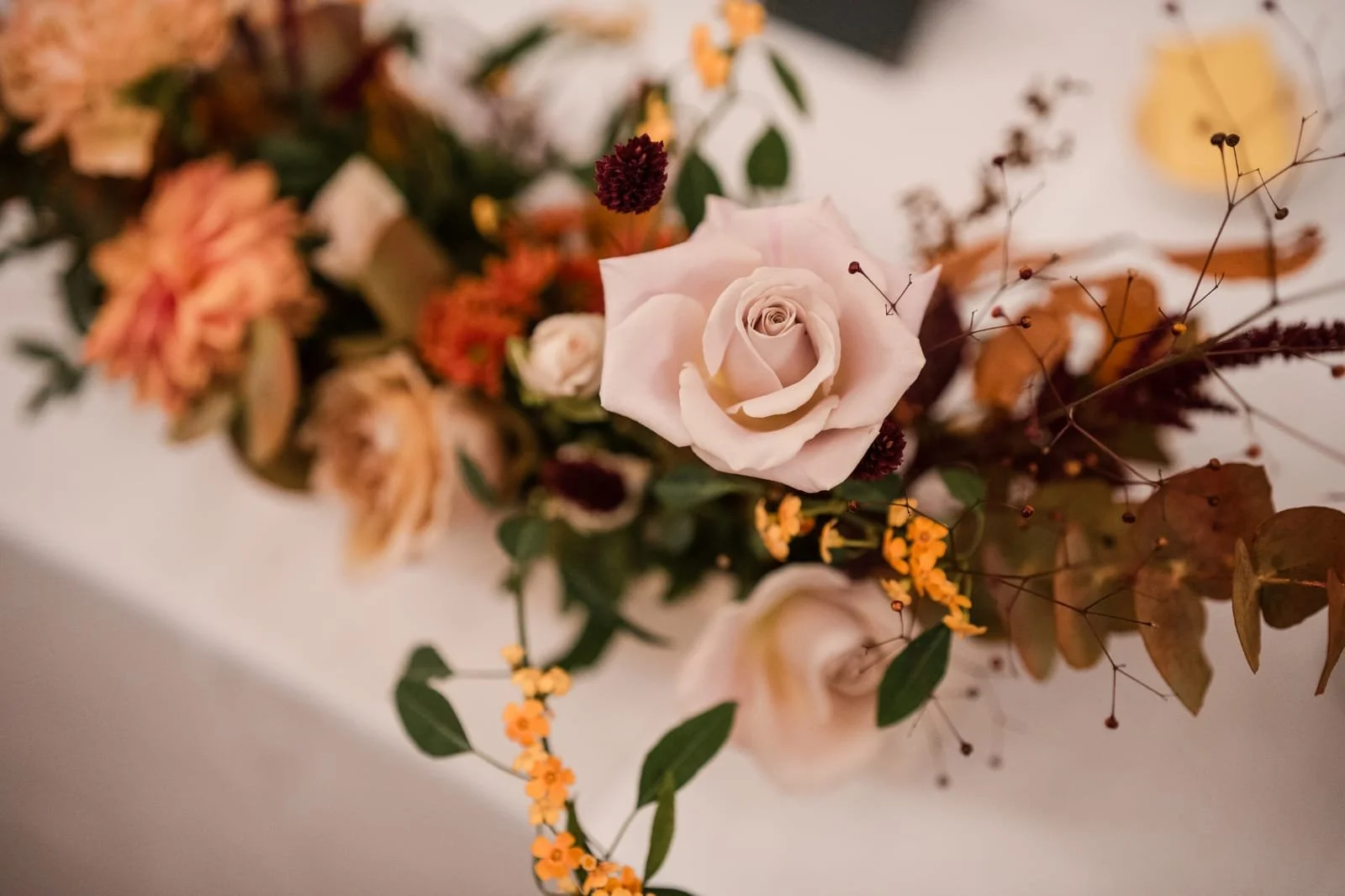 WhatsApp Image 2026-02-22 at 13.54.23 (3).jpeg