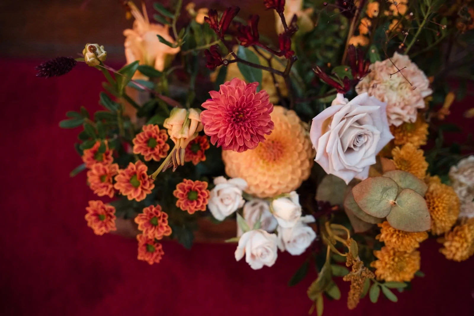 WhatsApp Image 2026-02-22 at 13.54.26 (5).jpeg