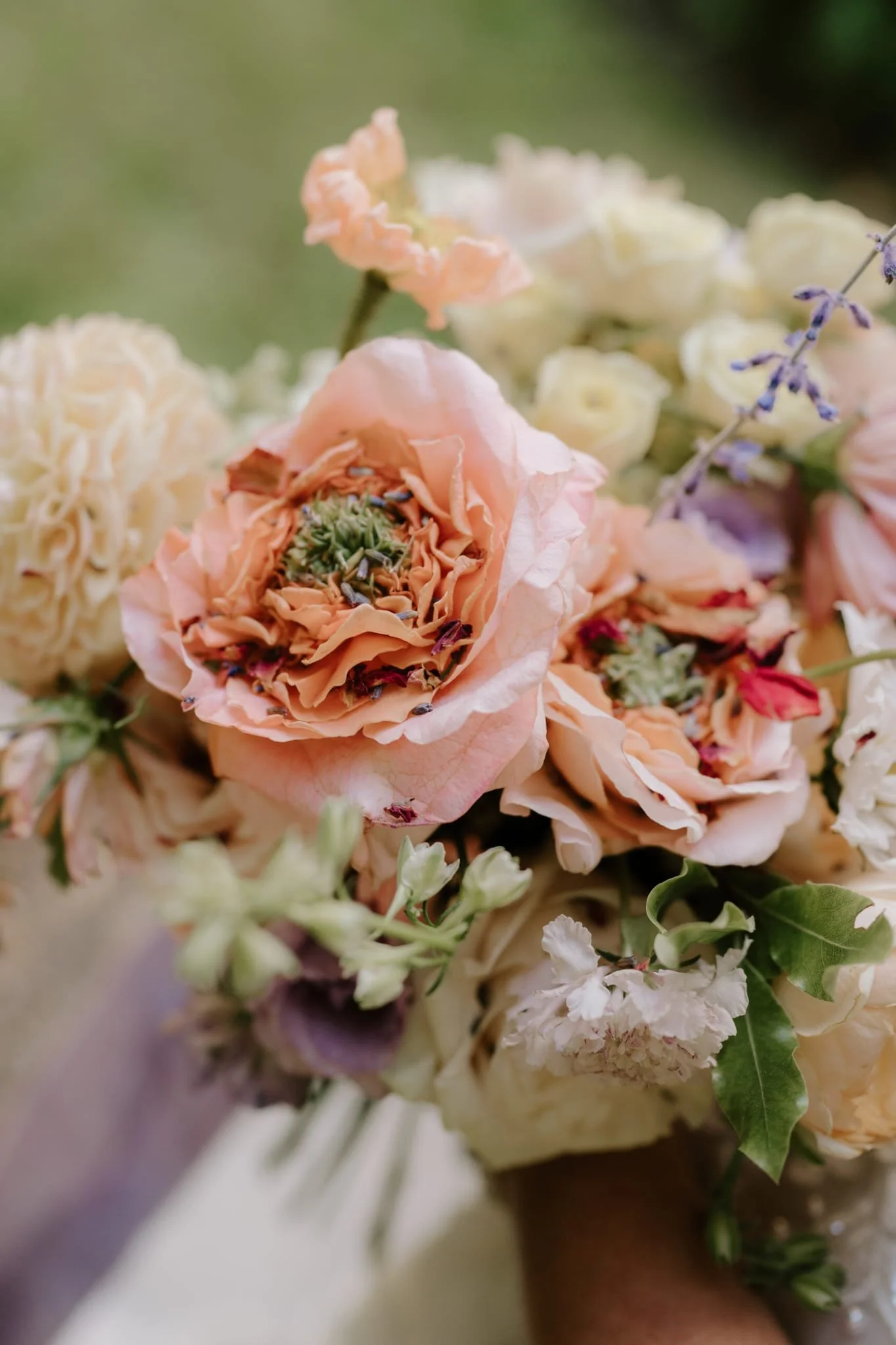 WhatsApp Image 2026-02-22 at 13.52.38 (2).jpeg