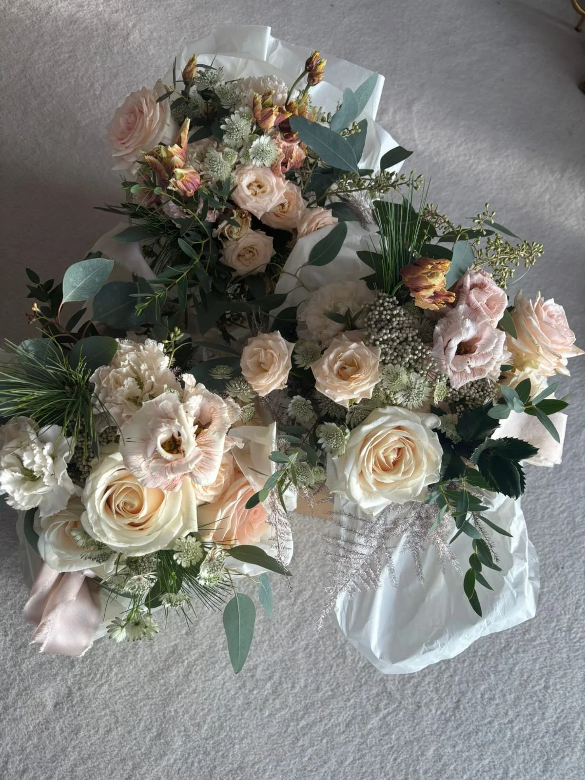 WhatsApp Image 2026-02-22 at 13.52.44.jpeg