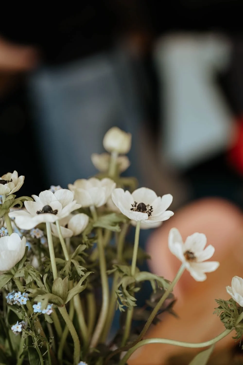 WhatsApp Image 2026-02-22 at 13.52.46 (2).jpeg