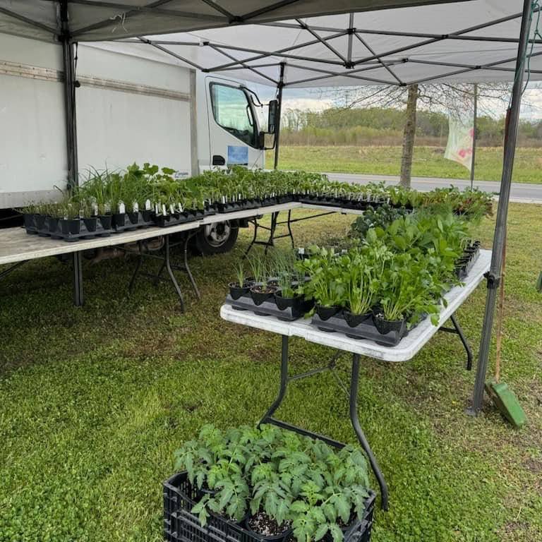 Farmer's market is every Thursday from 3-6 pm

- There is a local farmer with fresh fruits &amp; vegetables
- A local jams and jellies tent
- The Quack Shack featuring duck and turkey eggs as well as herbal supplements
- VA dough company with baked g