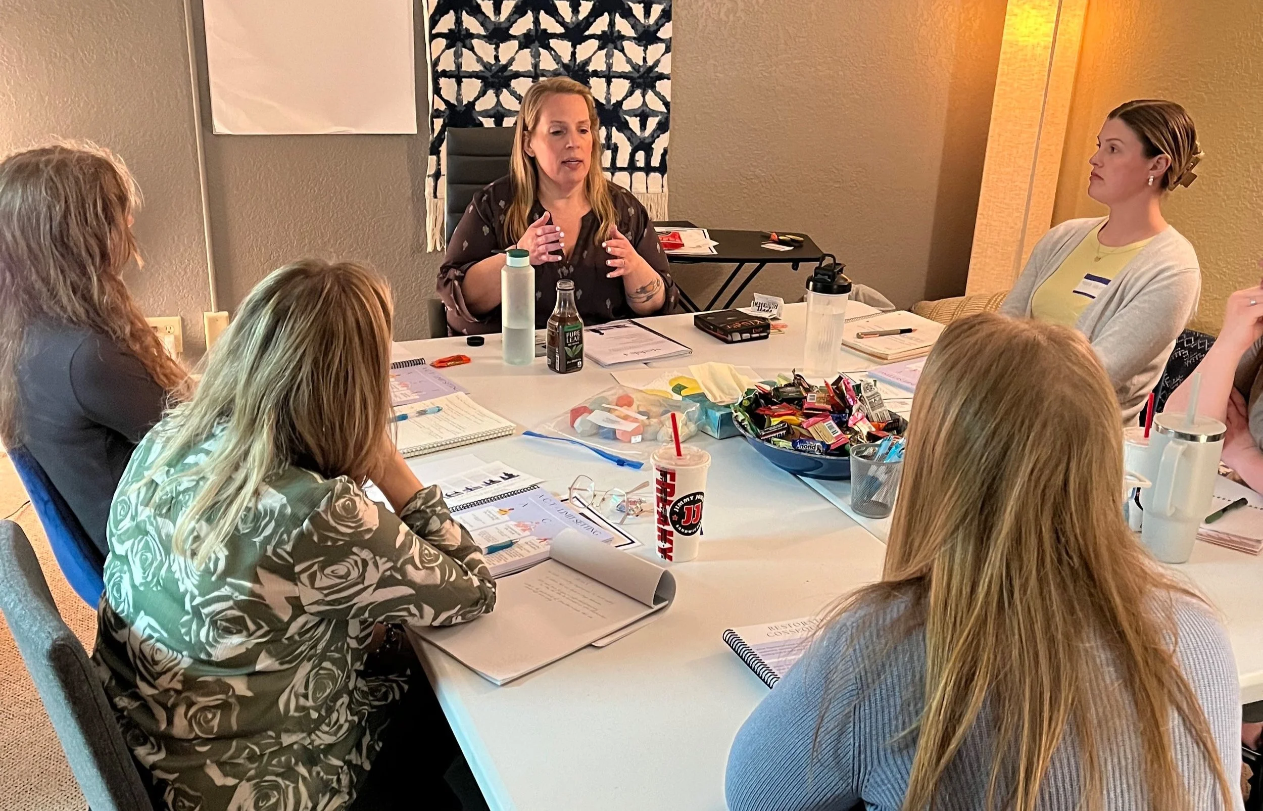 Attachment Focused Parenting for the Professional