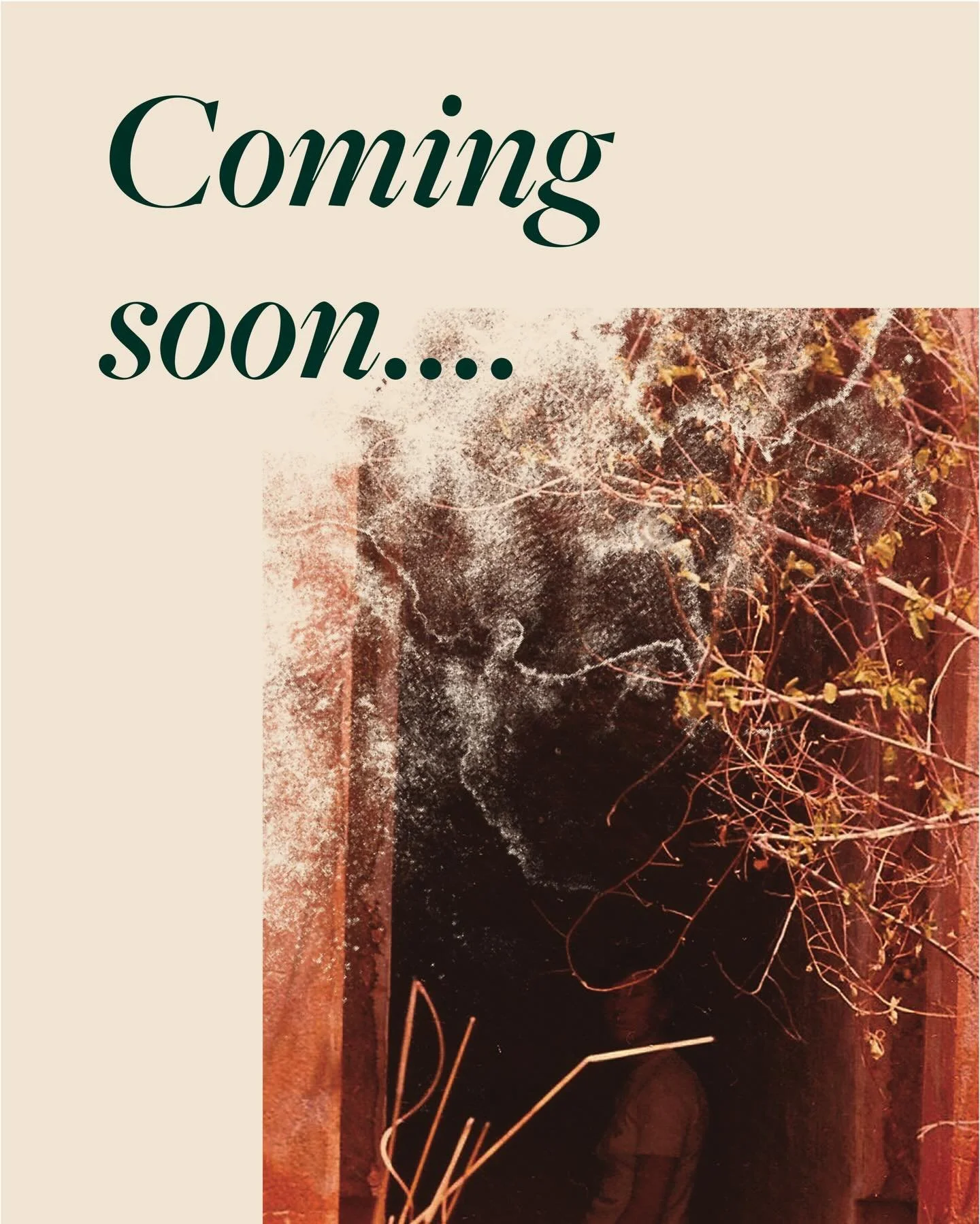 It&rsquo;s official 🖤 🌪️
 Just six months until my deliciously dark debut is published!

A glimpse into the moodboard, the music on repeat while I wrote, the inspiration for the story and the blurb that started it all&hellip;

Stay Buried.

#debutc