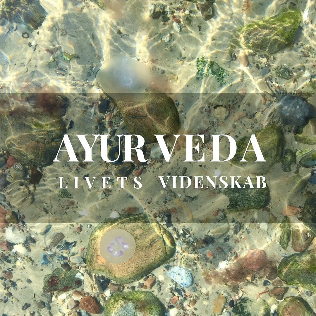 Ordet ayurveda kommer fra sanskrit &ndash; Indiens klassiske l&aelig;rdomssprog. 

Ayur = liv
Veda = viden/videnskab

Skal vi v&aelig;re helt sanskrit-n&oslash;rdede, betyder ordet &lsquo;ayur&rsquo; i virkeligheden snarere &lsquo;livsl&aelig;ngde&rs
