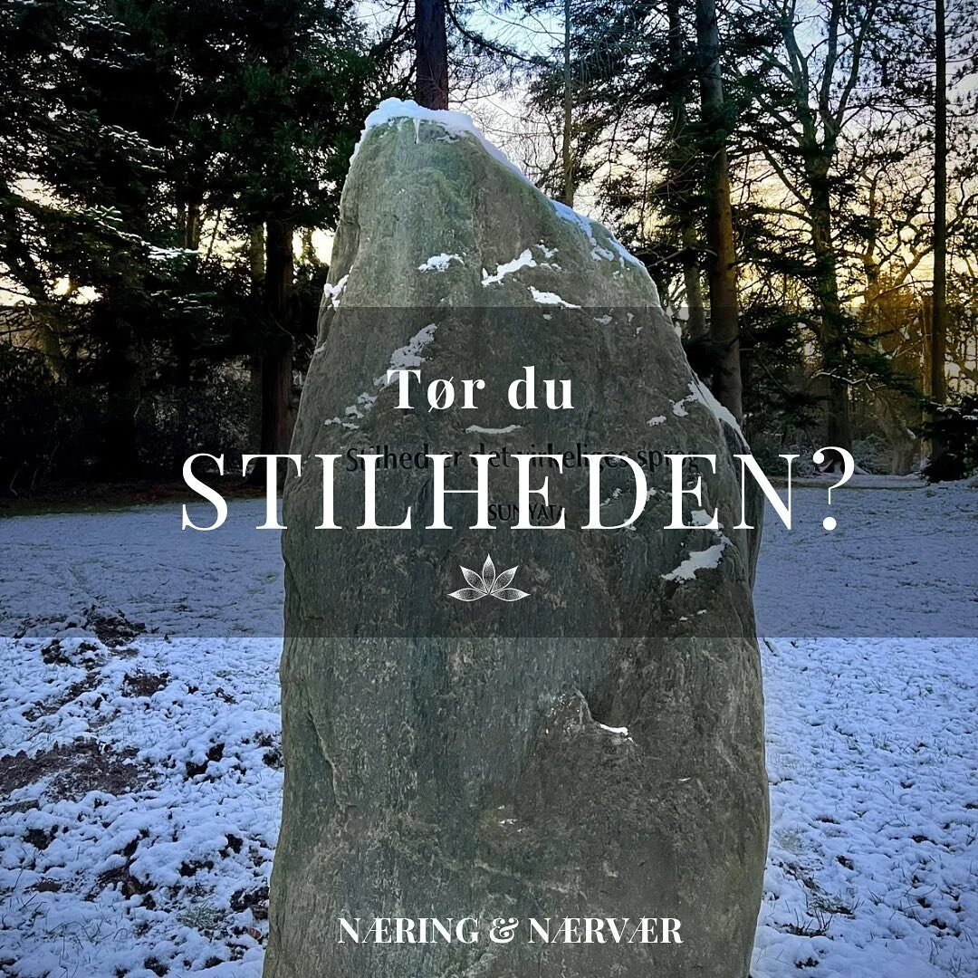 The quieter you become, the more you can hear
~ Ram Dass

Stenen p&aring; billedet, med den smukke inskription, har hjemme p&aring; et af de mest fredfyldte steder, jeg kender i Aarhus, og hvor jeg meget ofte finder min stilhed. 

Jeg oplever &ndash;