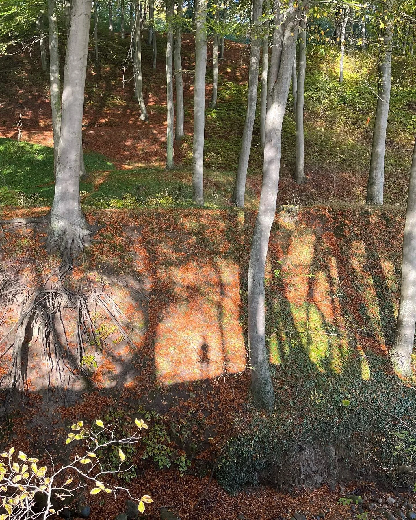 ✨MENNESKET I NATUREN ~ NATUREN I MENNESKET ✨

Vi har en tilb&oslash;jelighed til at se naturen som noget adskilt fra os selv &ndash; noget &rdquo;derude&rdquo;. Fx n&aring;r vi tager ud i en skov, tager p&aring; landet eller tager p&aring; stranden o