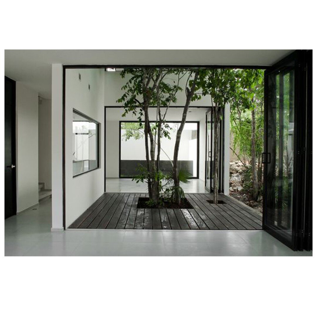 We do love a courtyard - and this one just frames every view so well!⁠
⁠
Casa W41 by @WarmArchitects in Mexico⁠
⁠
⁠
#Courtyard #ThatTree #Home #House #ContemporaryDesign #ResidentialDesign #ModernDesign #Architecture #Interiors #InteriorArchitecture 