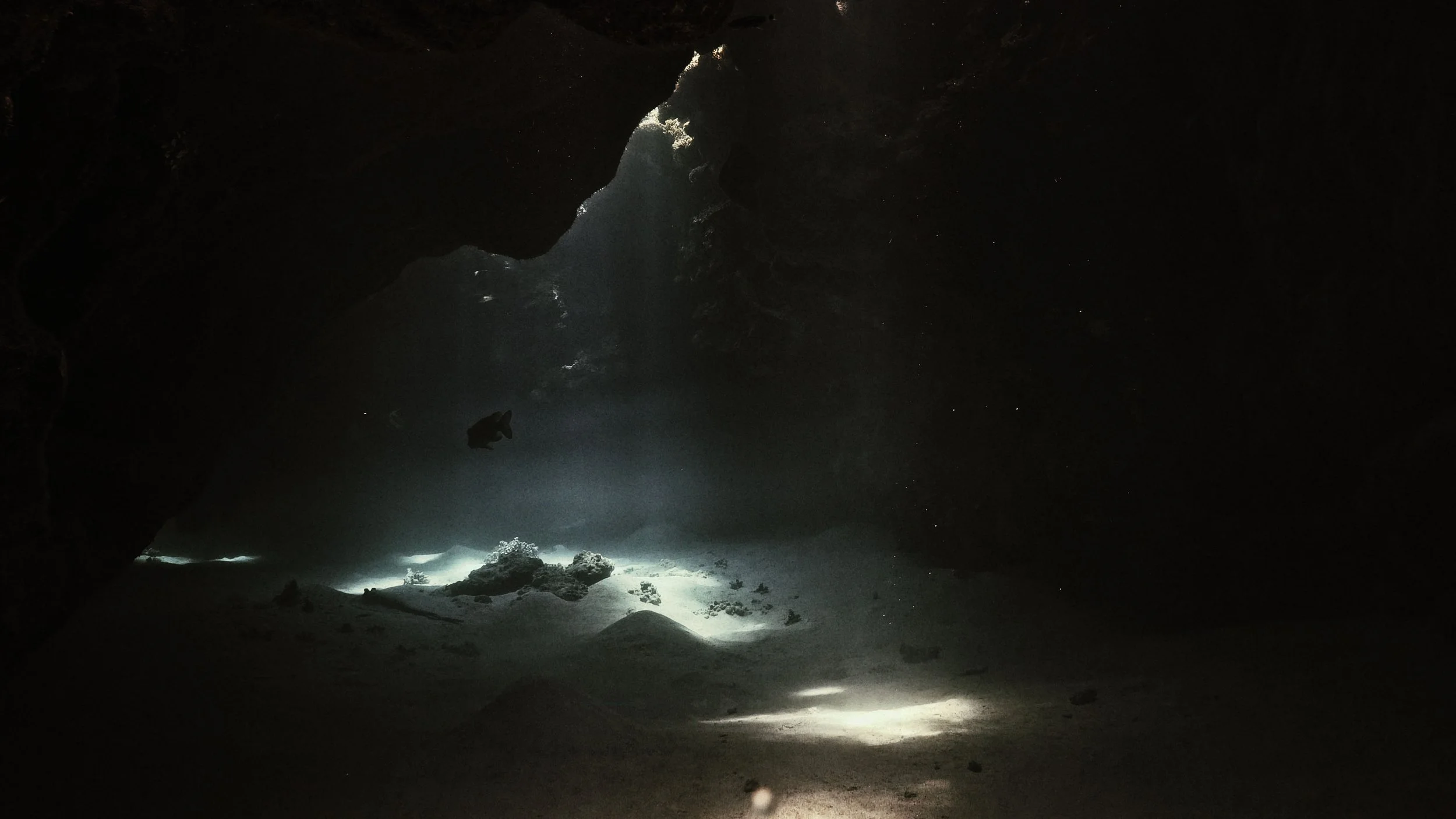 JULIAN CHARRIERE 7.jpg