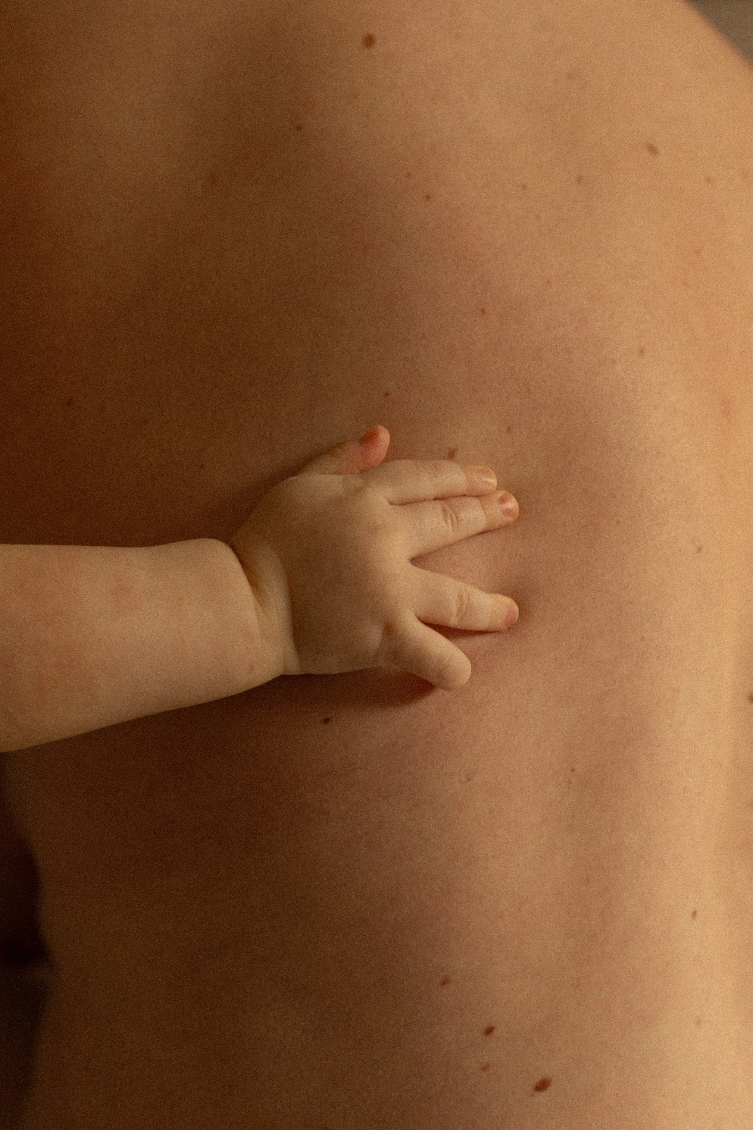 famille & grossesse