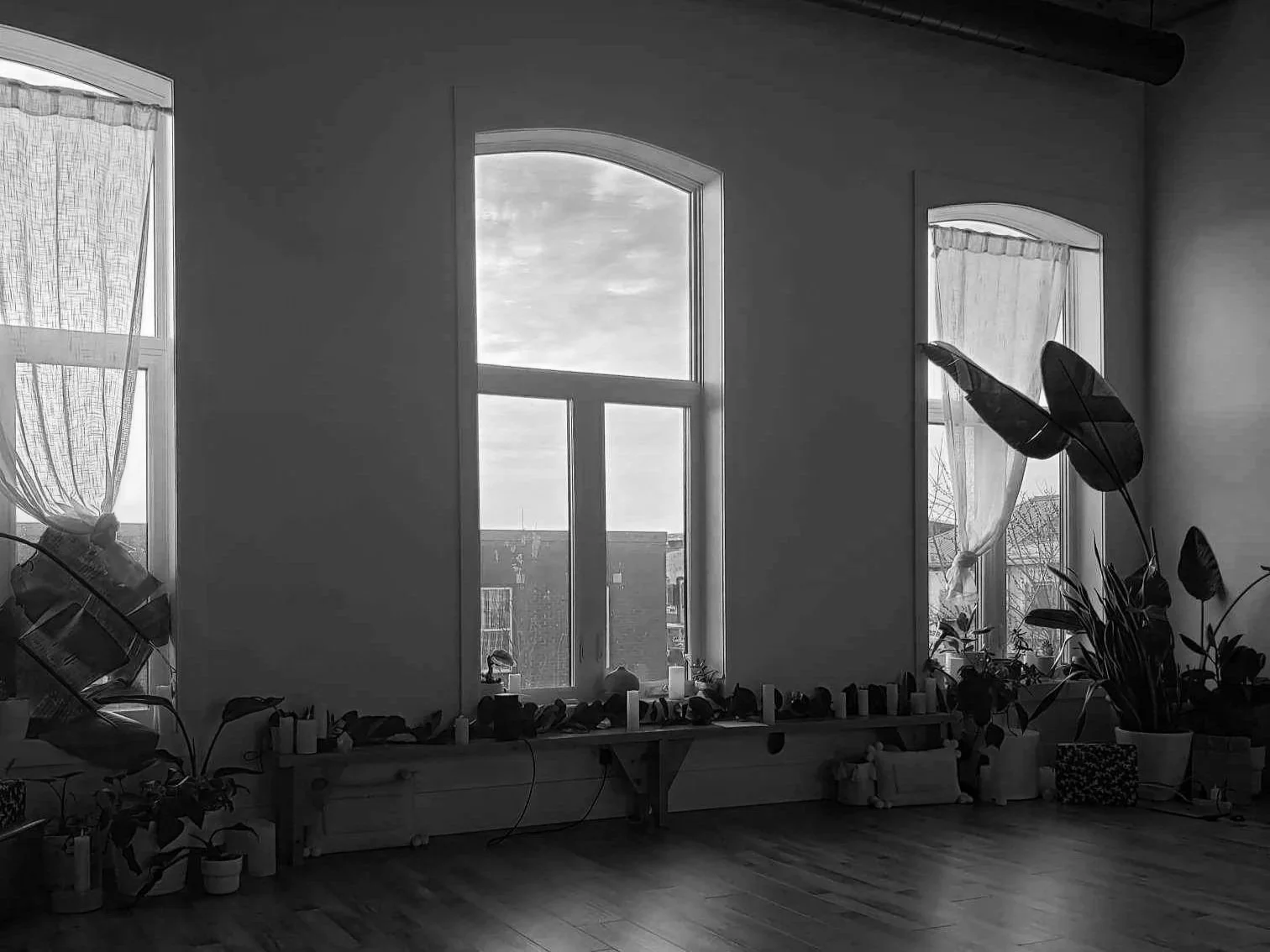 Room with large windows, potted plants, and candles on a low shelf, natural light coming in.