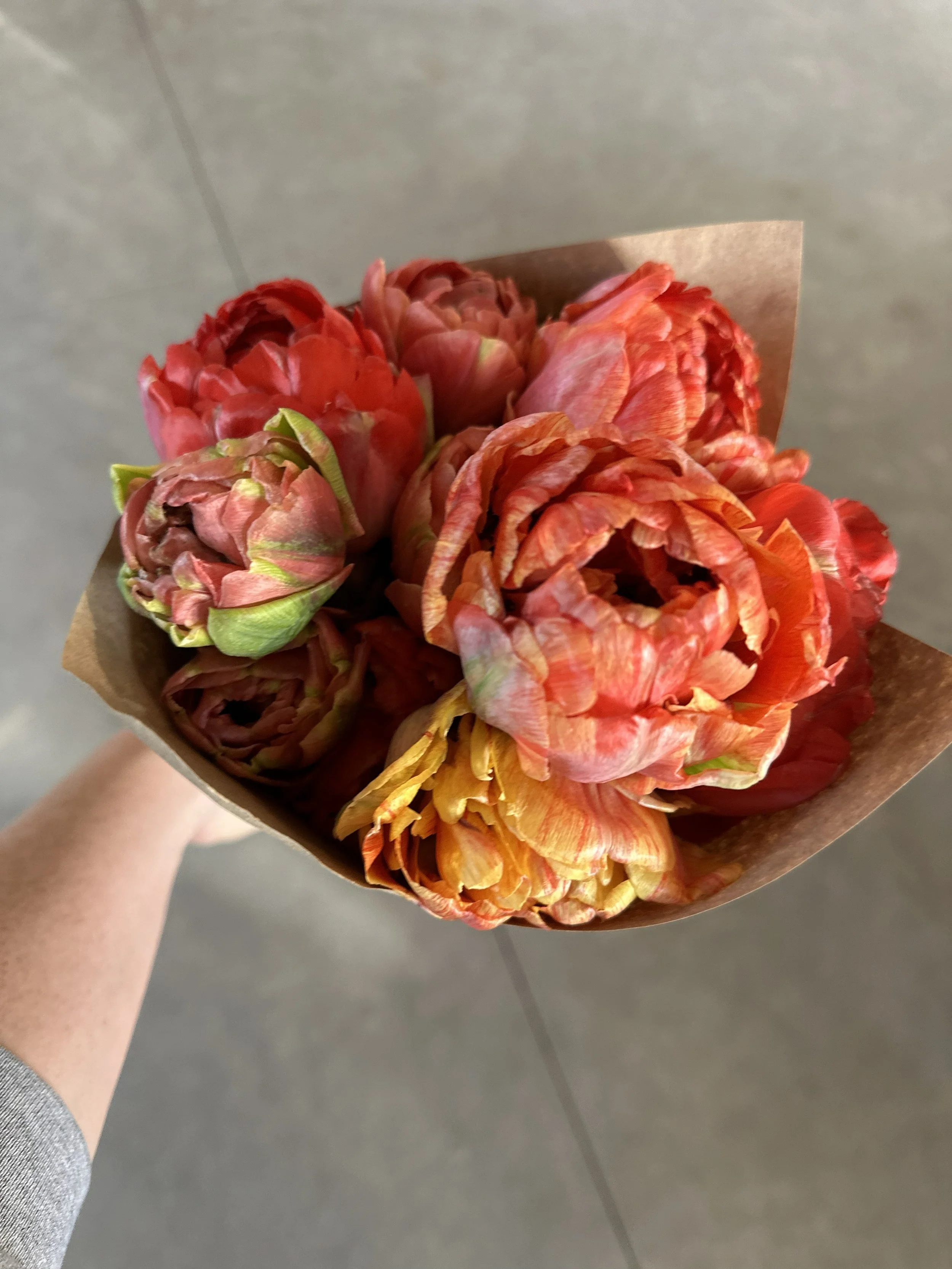 Red "Peony" Tulip Bouquet