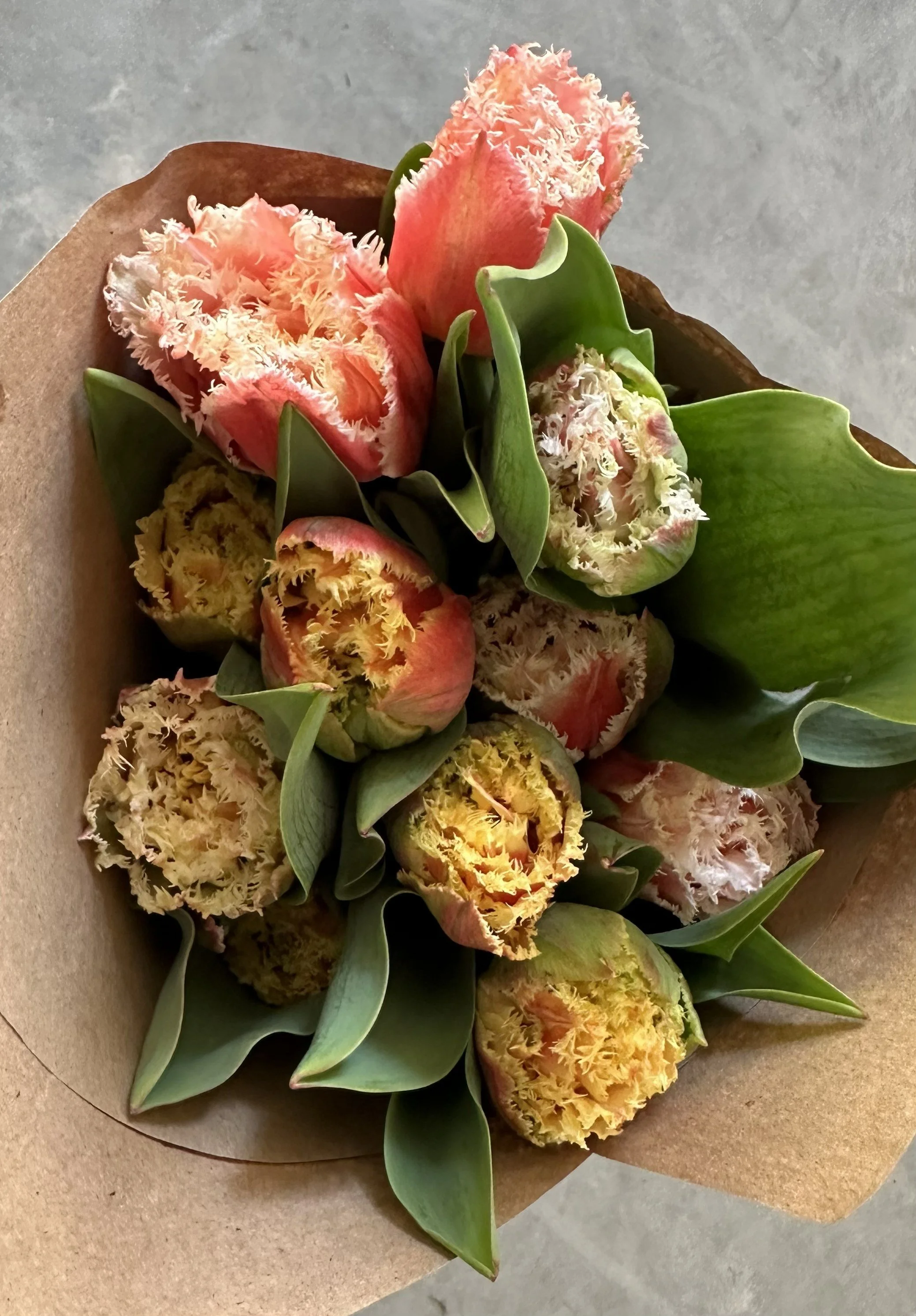 Fringe Tulip Bouquet