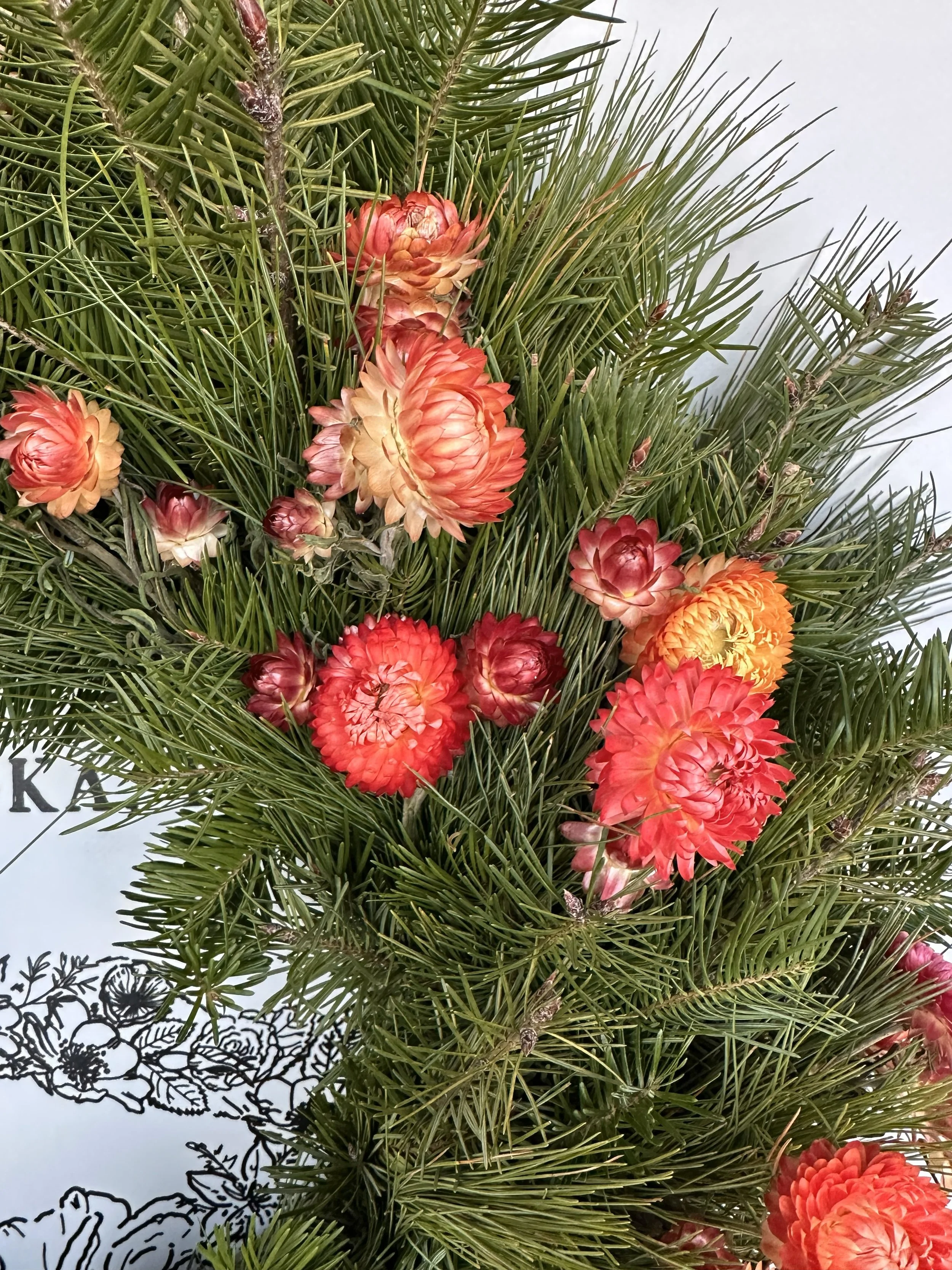 Strawberry Fields2.jpeg