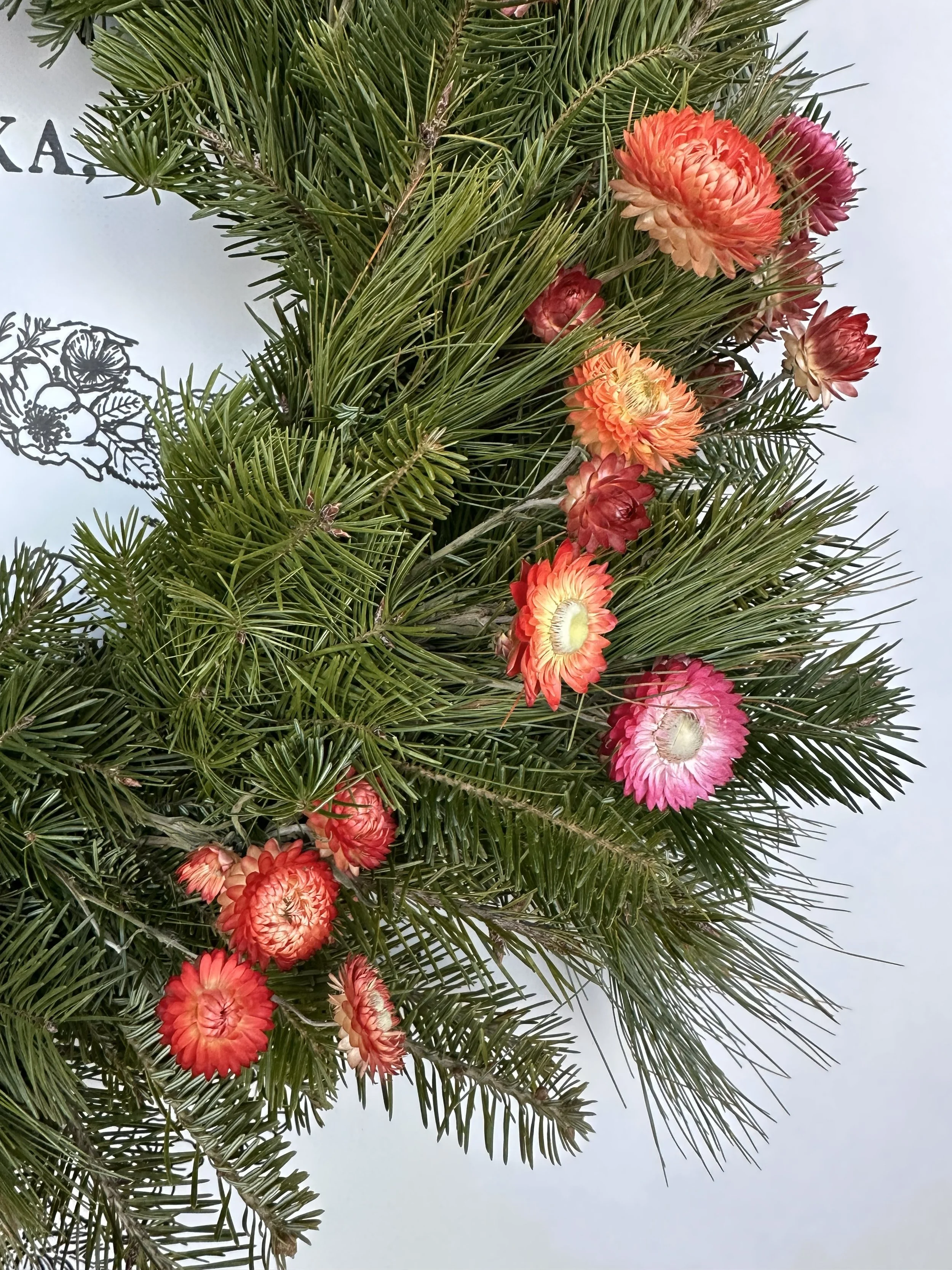 Strawberry Fields3.jpeg