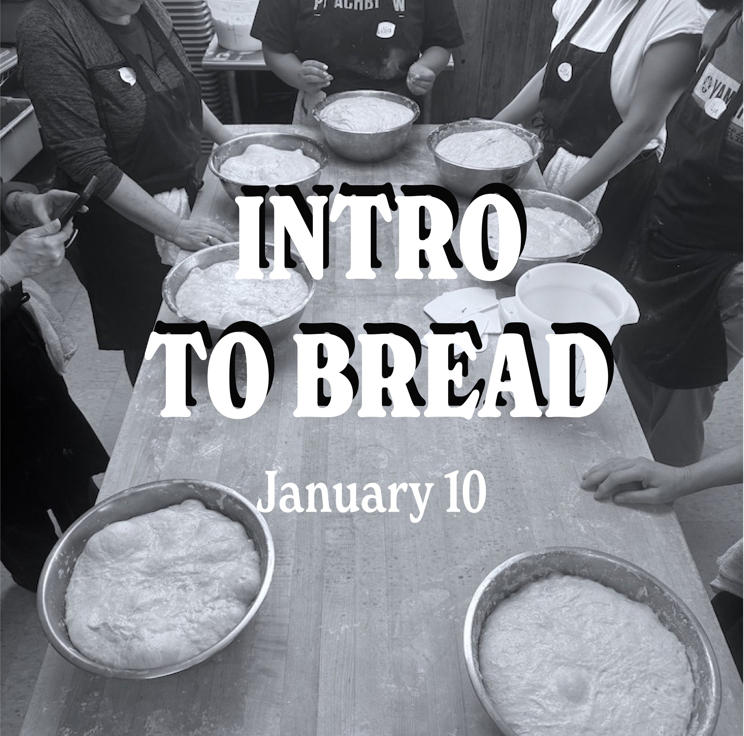 Intro to Bread