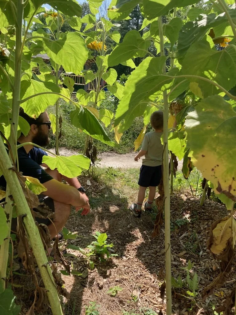 homeschool sunflower hosue.jpg