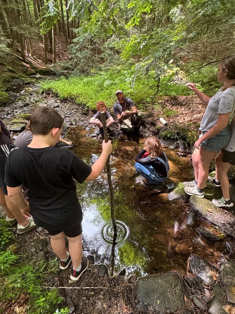 camp wild forest stream marty looking.jpg