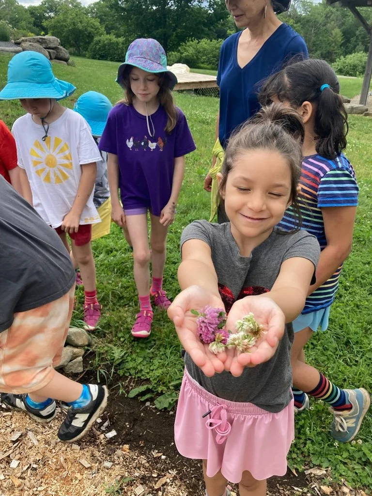 camp flowers in palm.jpg