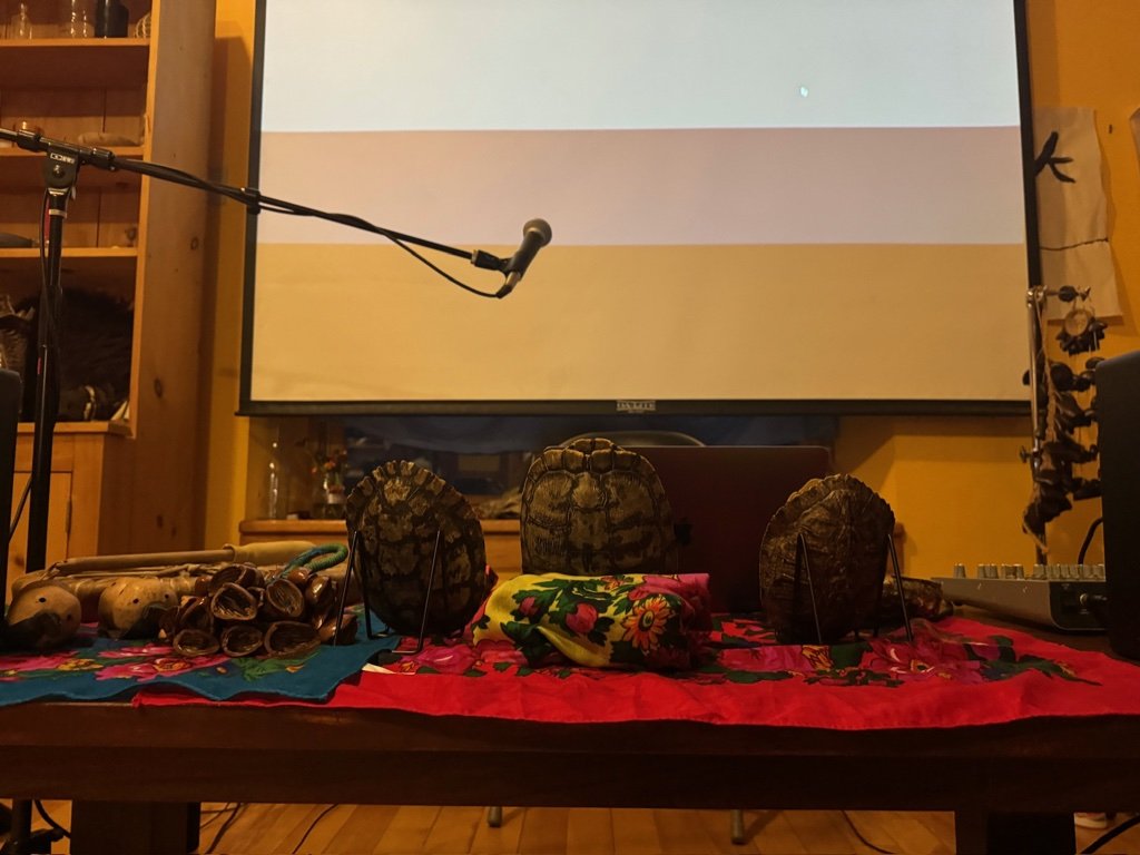 events coyote concert 3.jpg