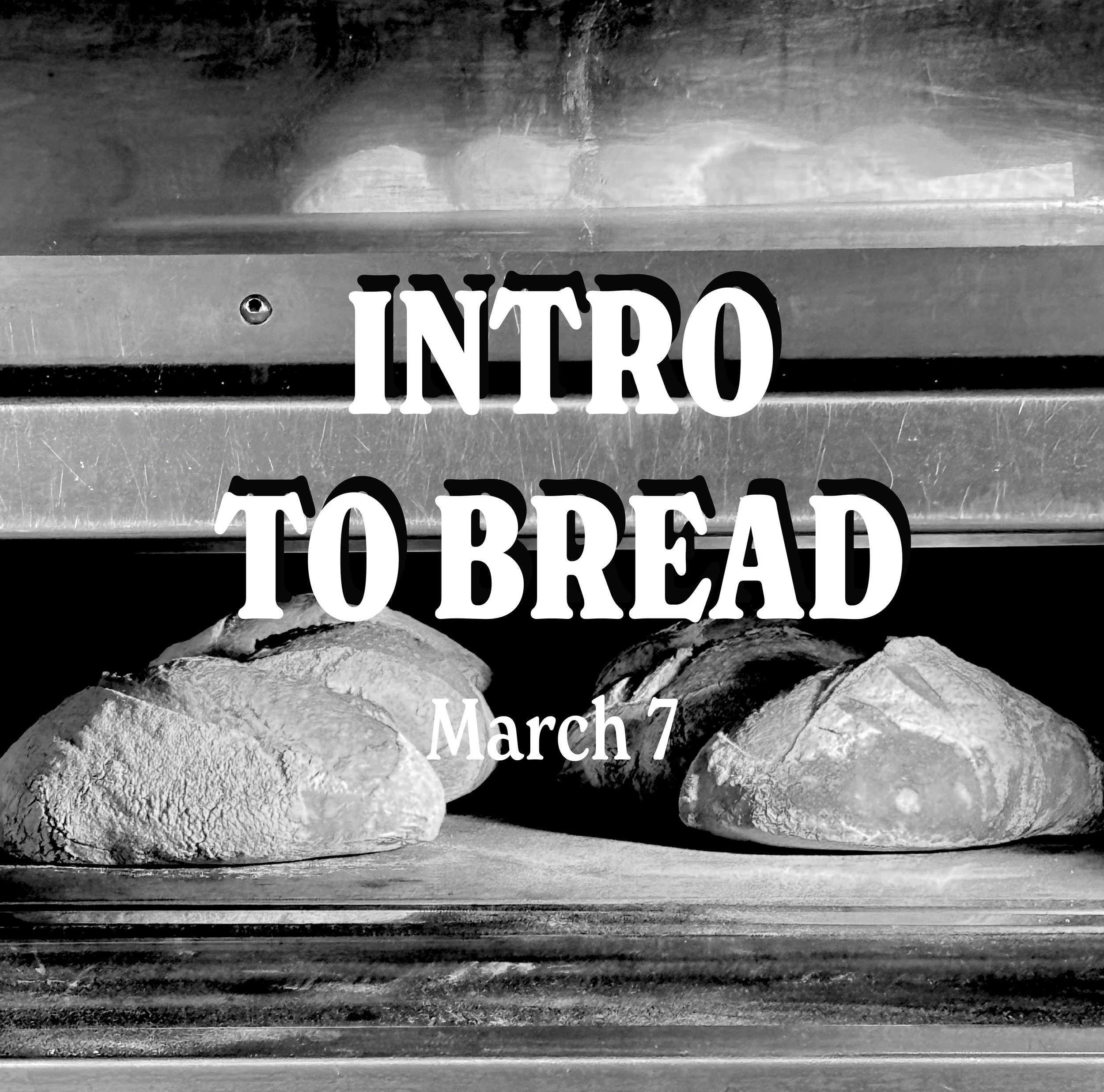 Intro to Bread