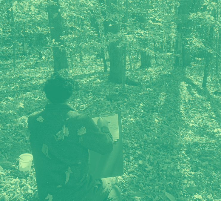 Forest Drawing