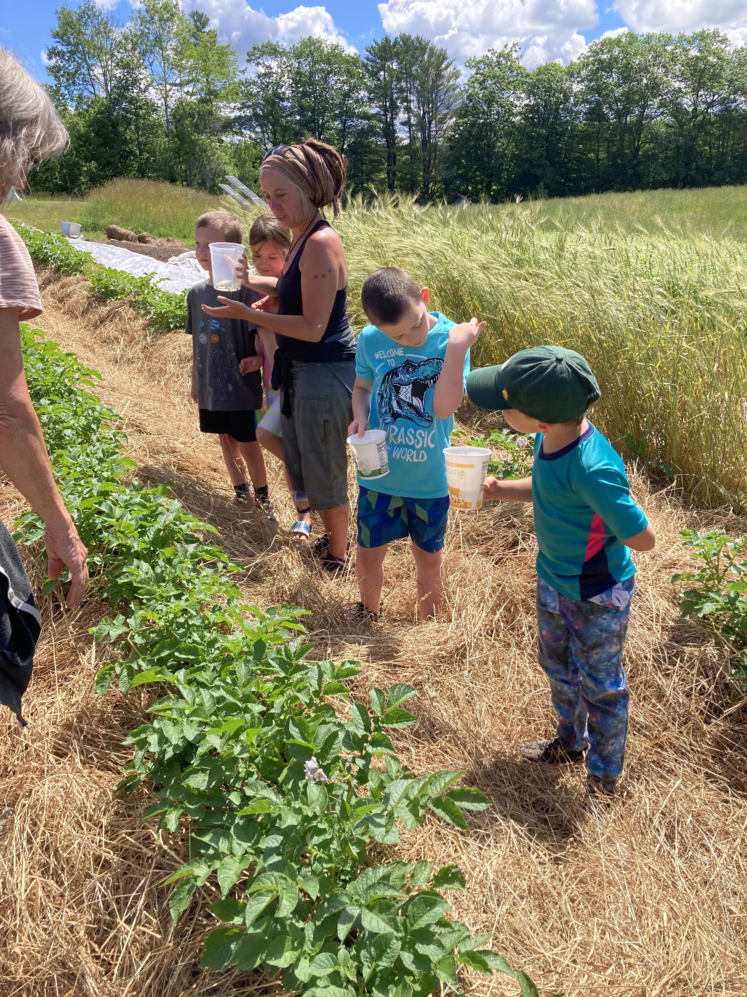 Group of children and an adult standing in a field, holding plastic containers, with greenery and trees in the background, under a blue sky with some clouds.