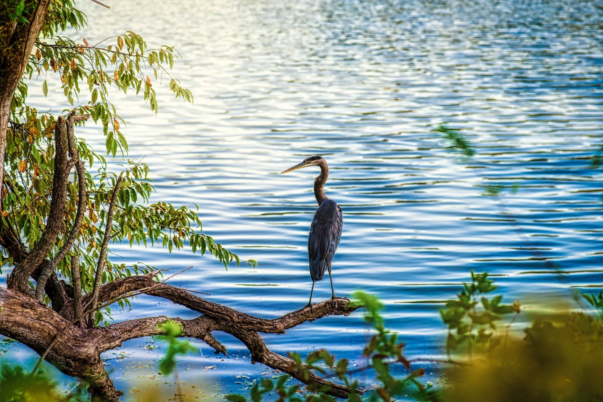 unsplash-image-soHHiO7lsEk.jpg