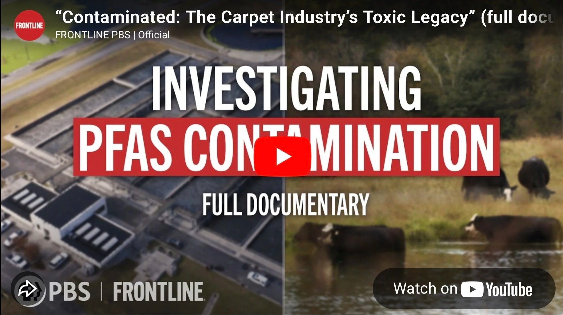 Contaminated: The Carpet Industry's Toxic Legacy