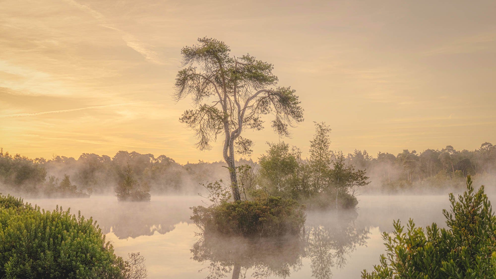 jhvr-220717-086-bosenven-157-HDR-Edit-1.jpg