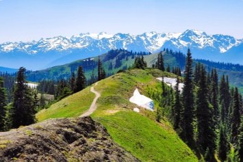 Hurricane Ridge Annual Hike