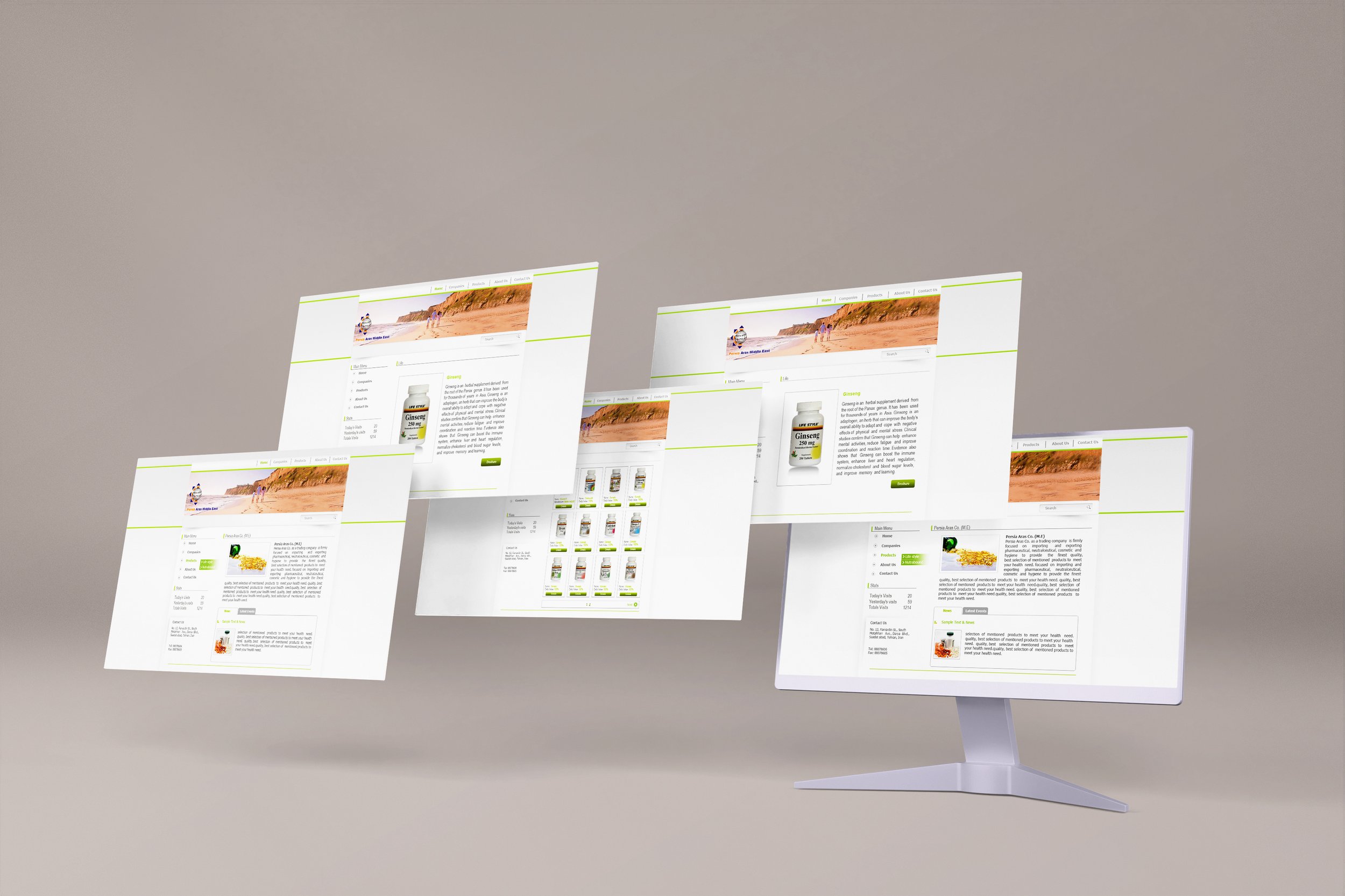Designing a website for Persia Aras Middle East Company which is a trading company focusing on importing and exporting the pharmaticular products in 2014.