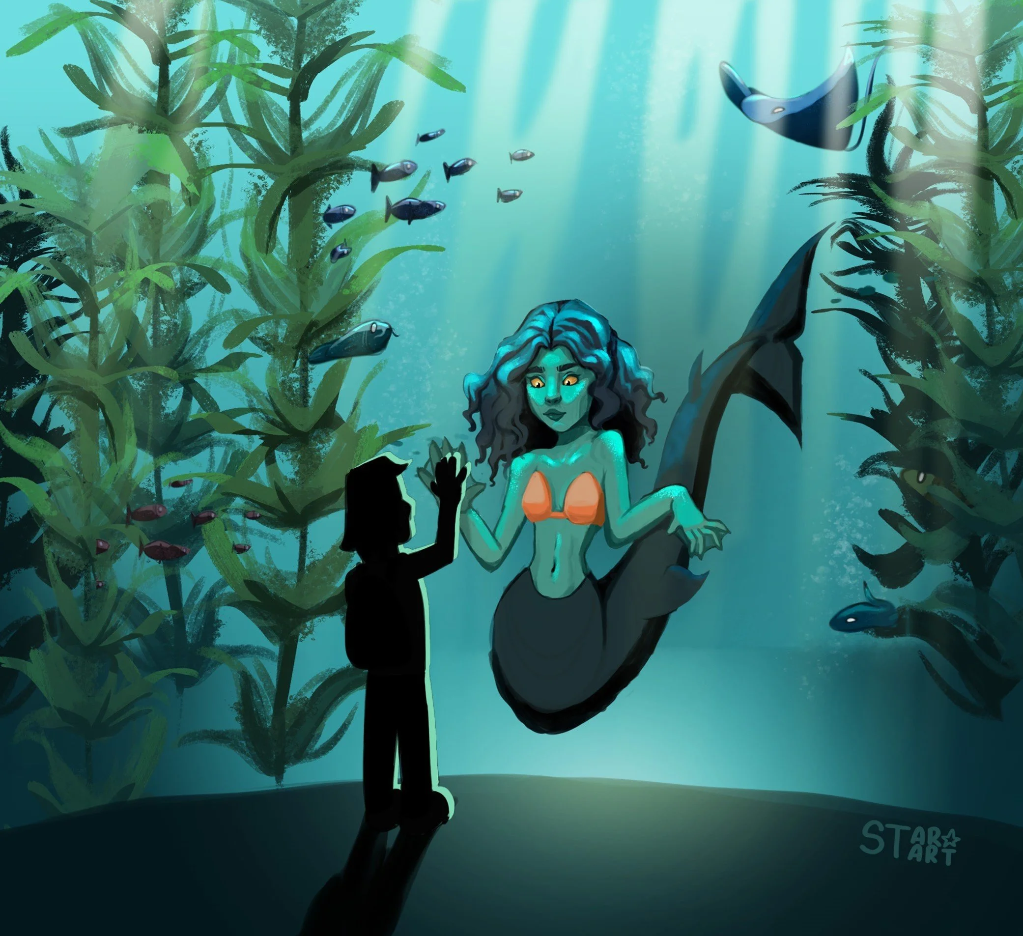 Mermaid aquarim.jpg