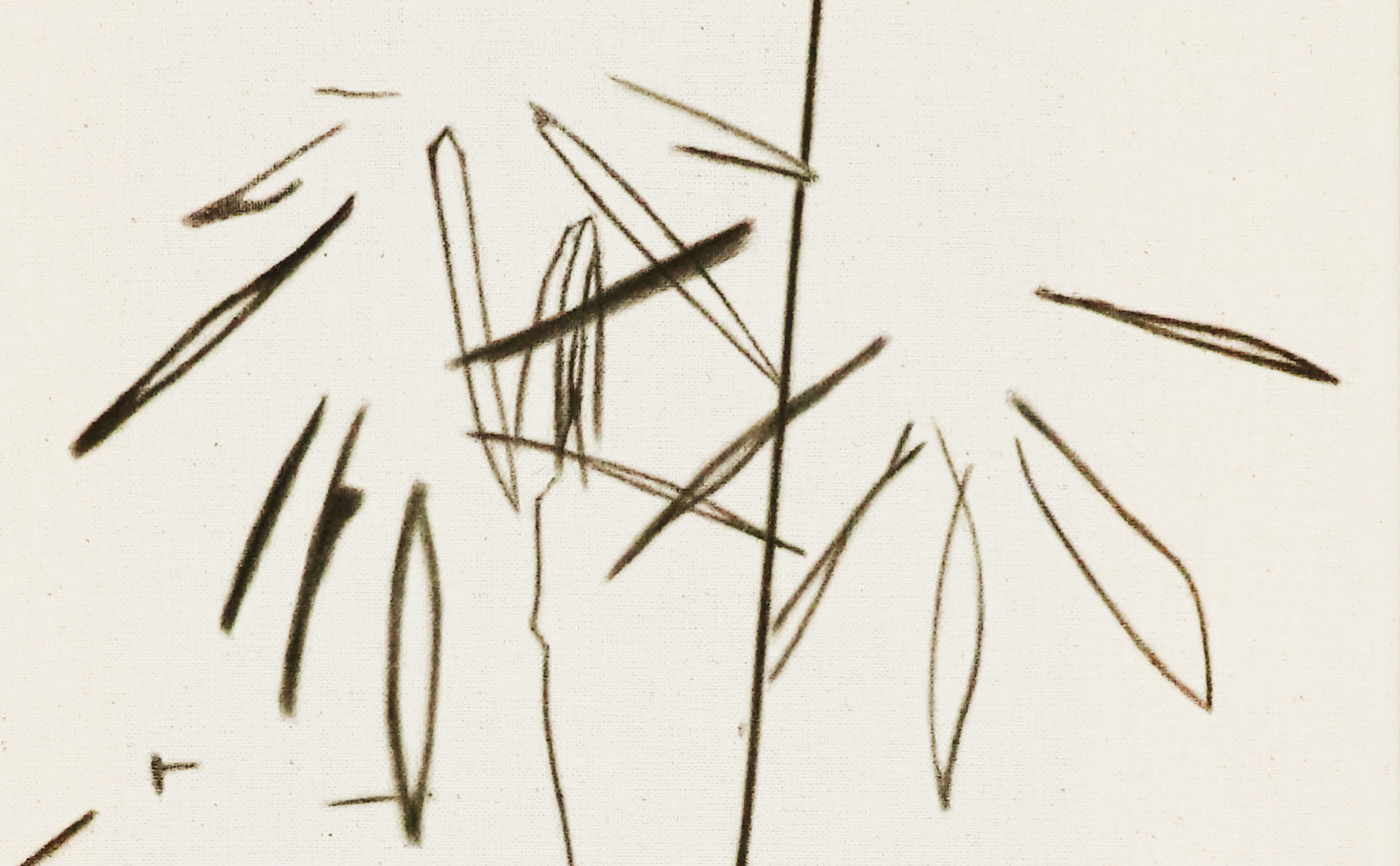 black 1:2, 1:24, N.9  - supercloseup.png